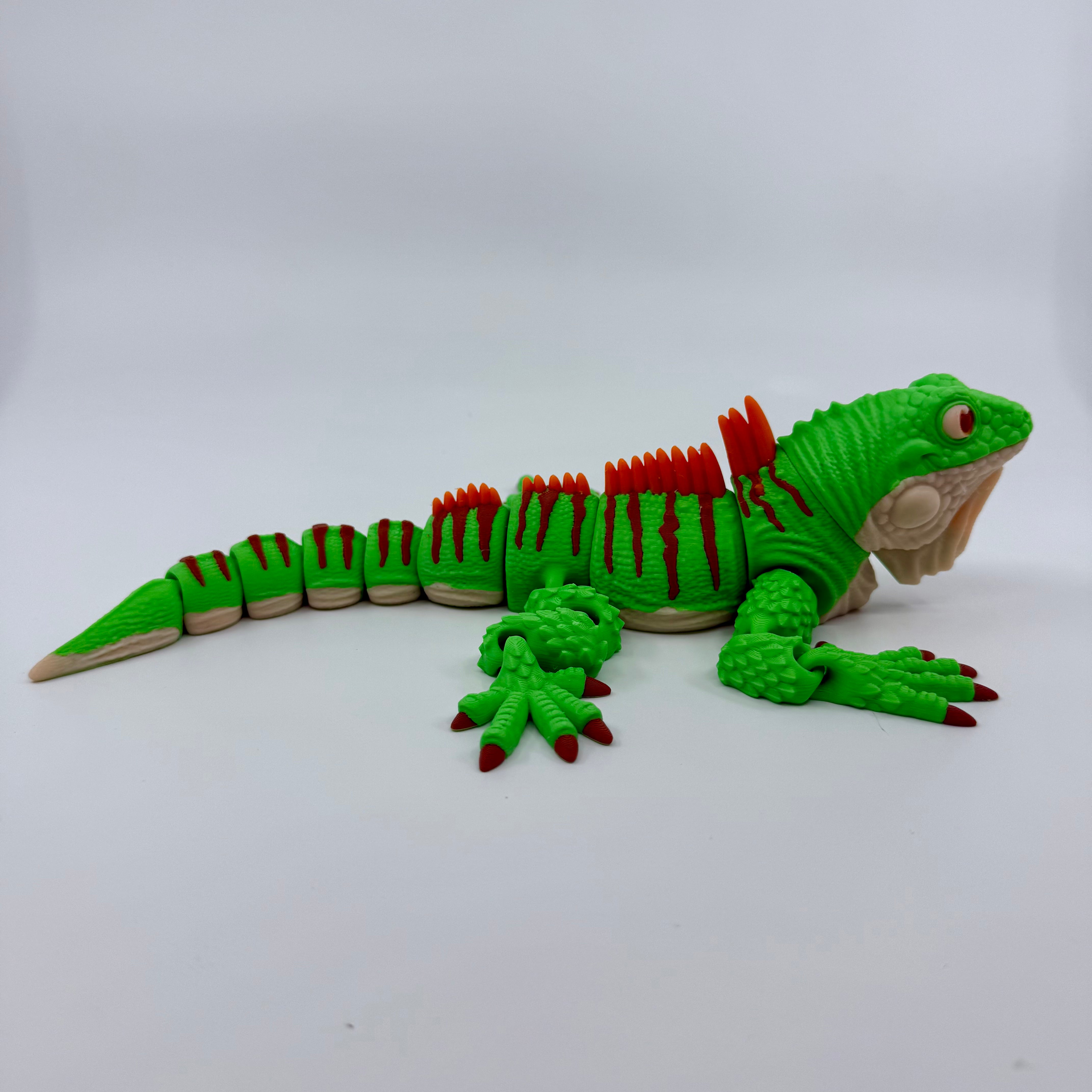Iguana