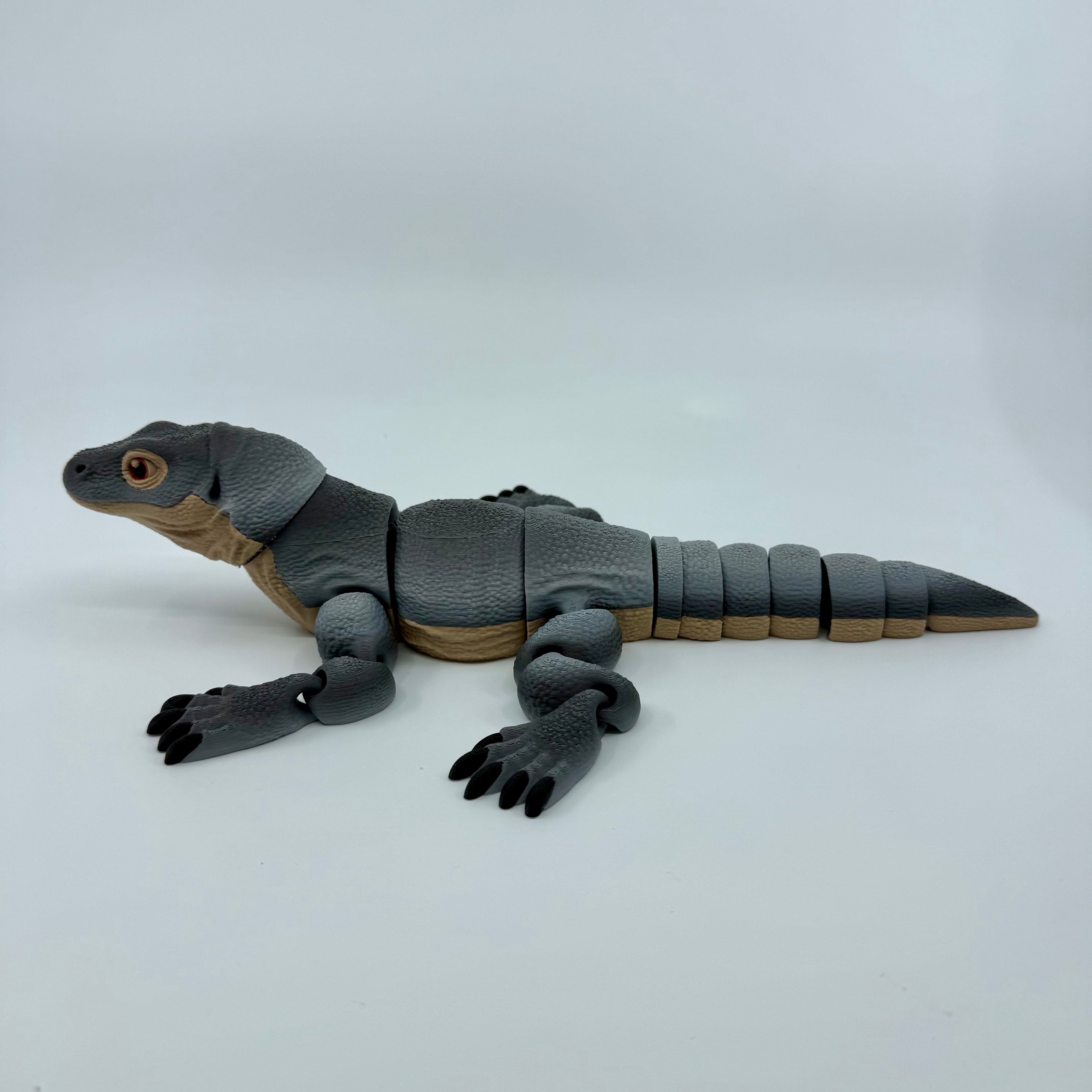 Komodo Dragon