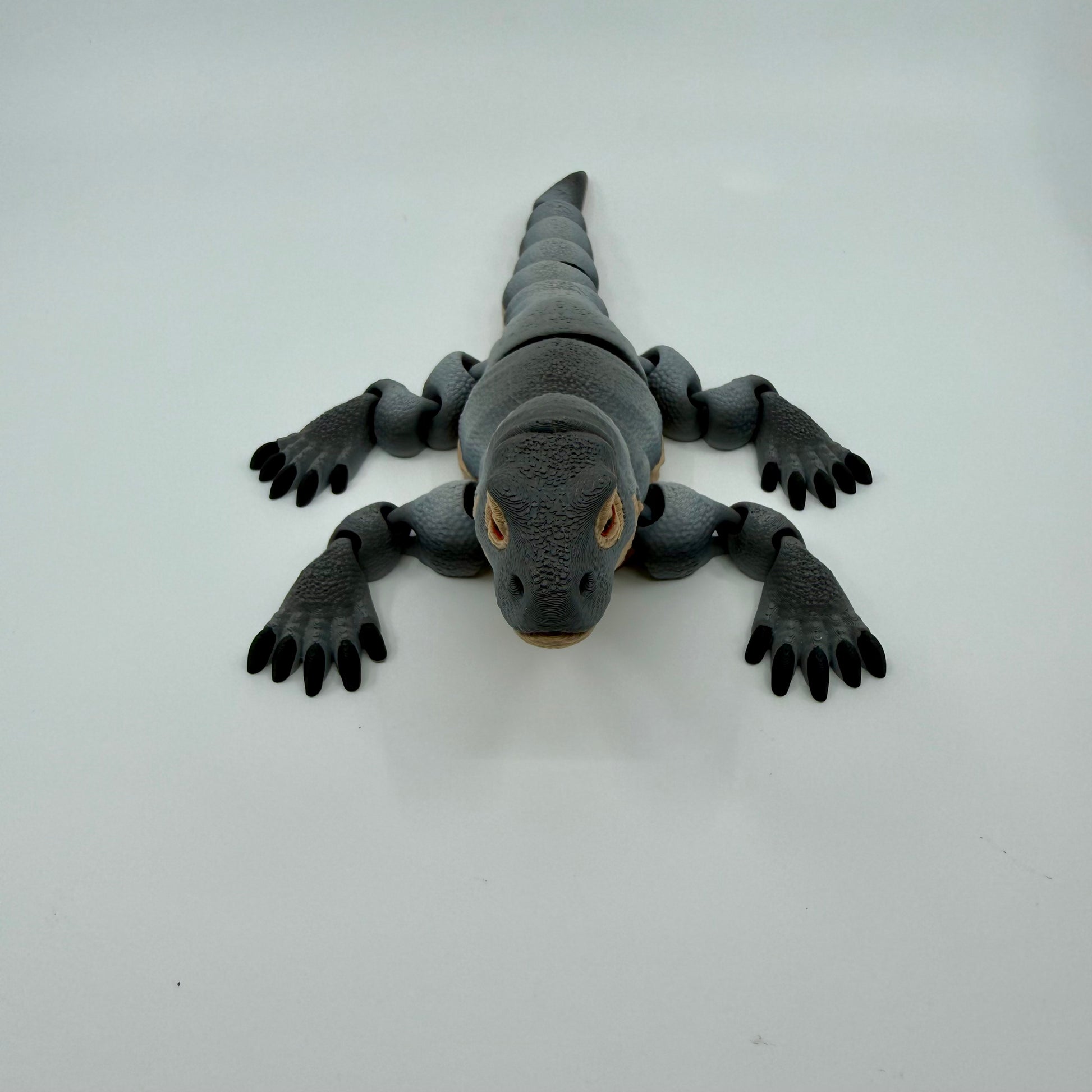 Komodo Dragon