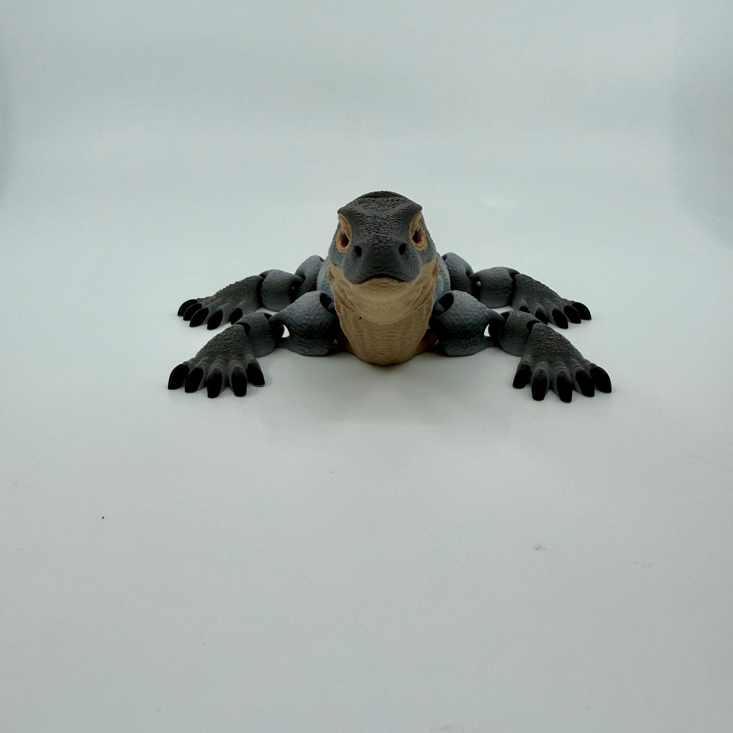 Komodo Dragon