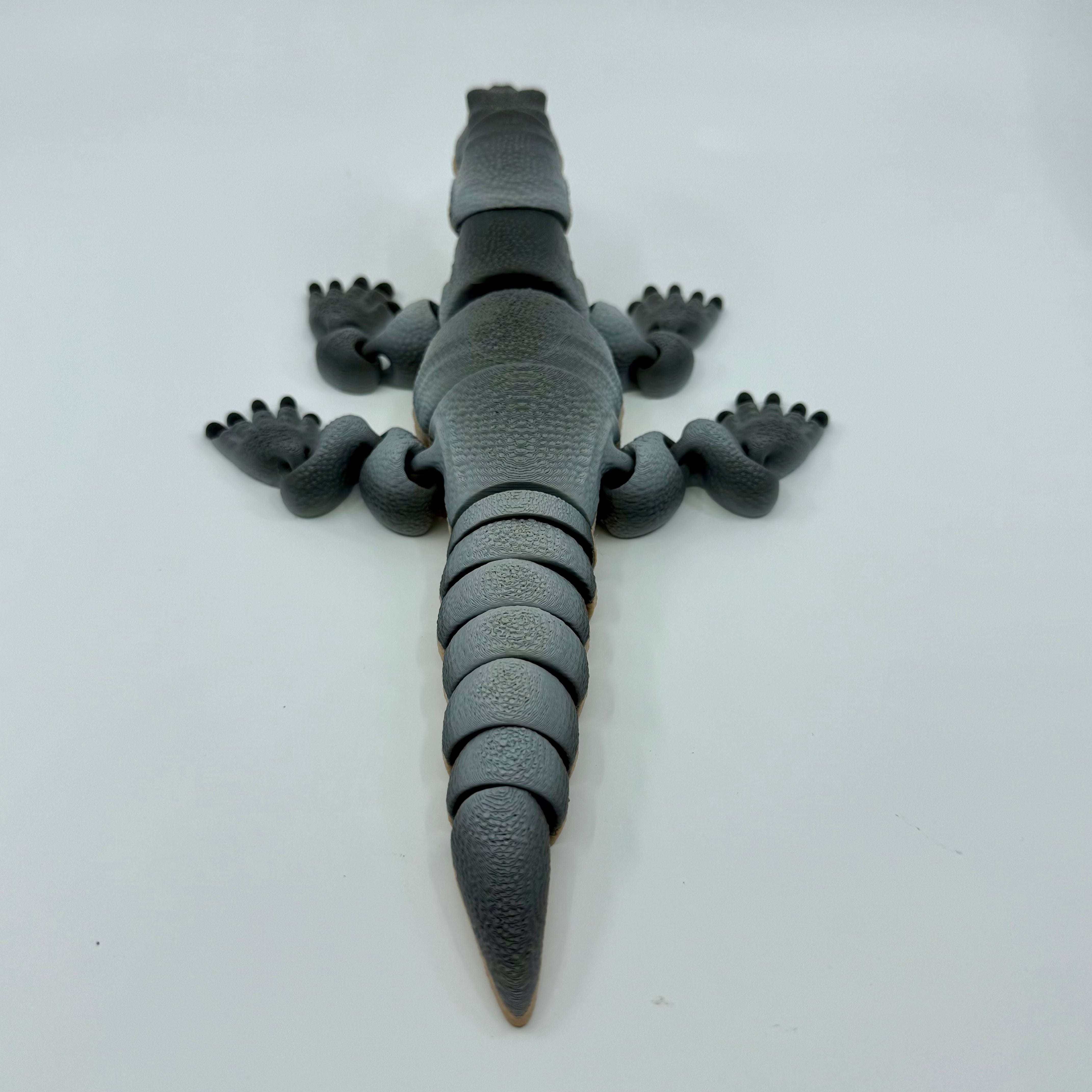 Komodo Dragon