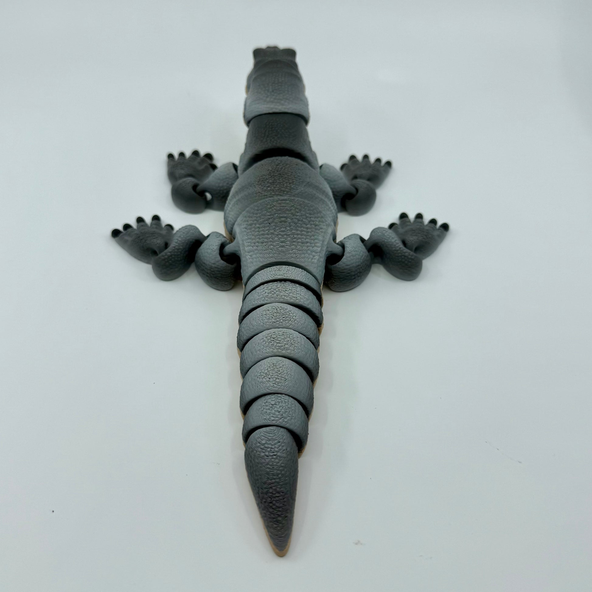 Komodo Dragon