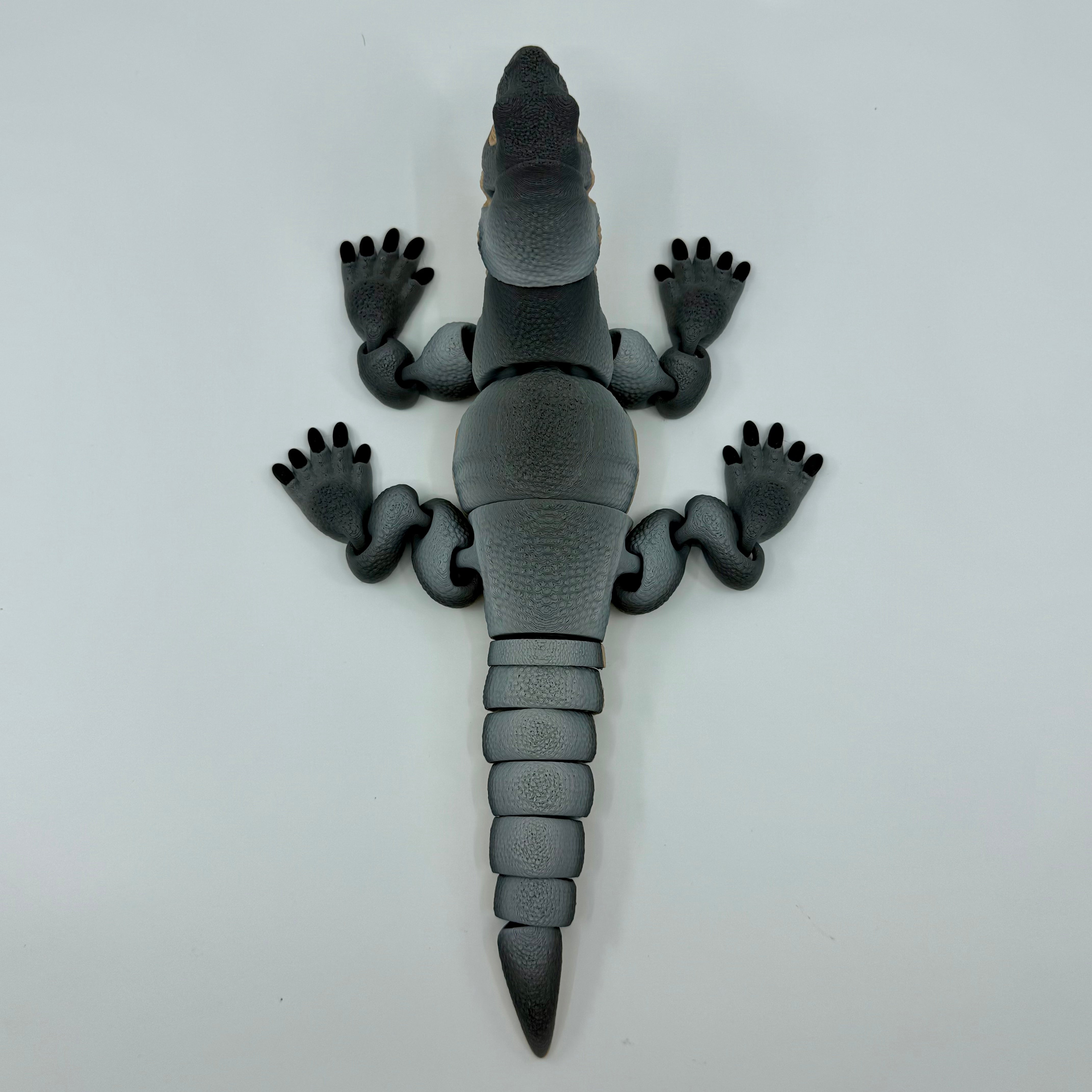 Komodo Dragon