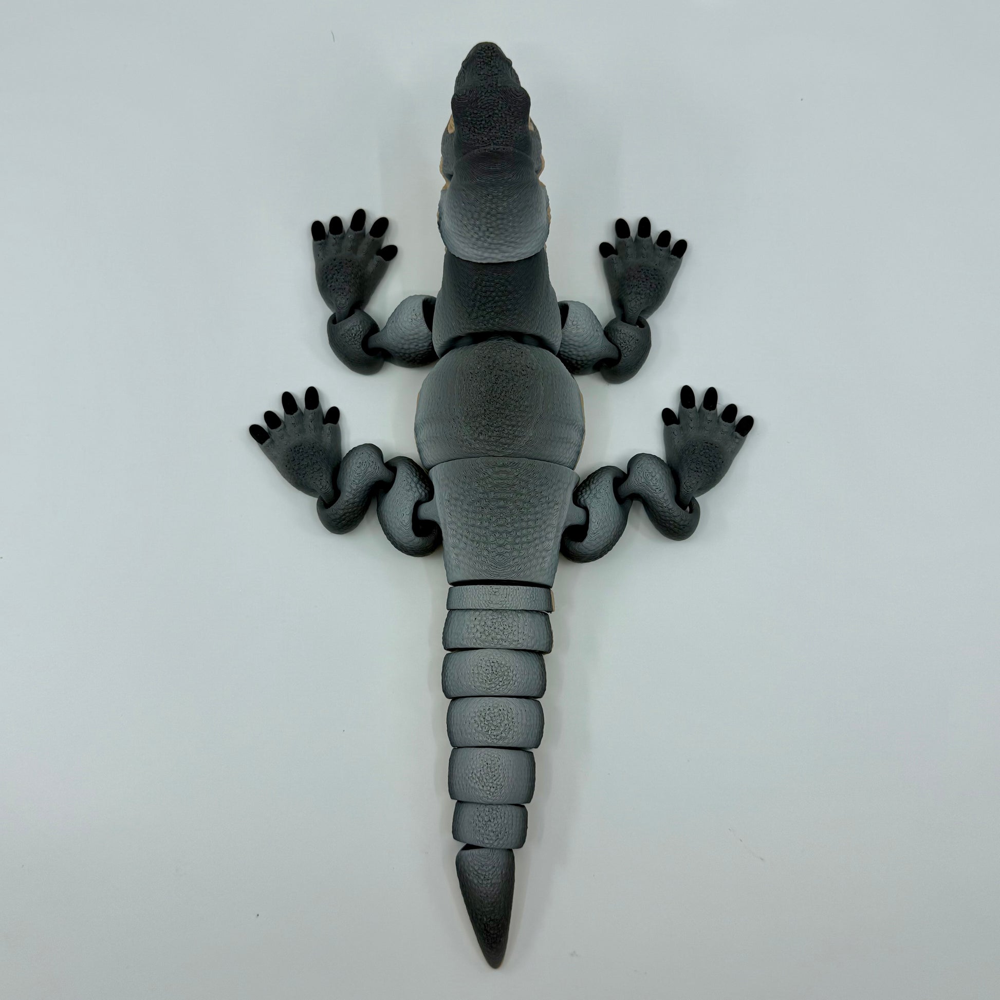 Komodo Dragon