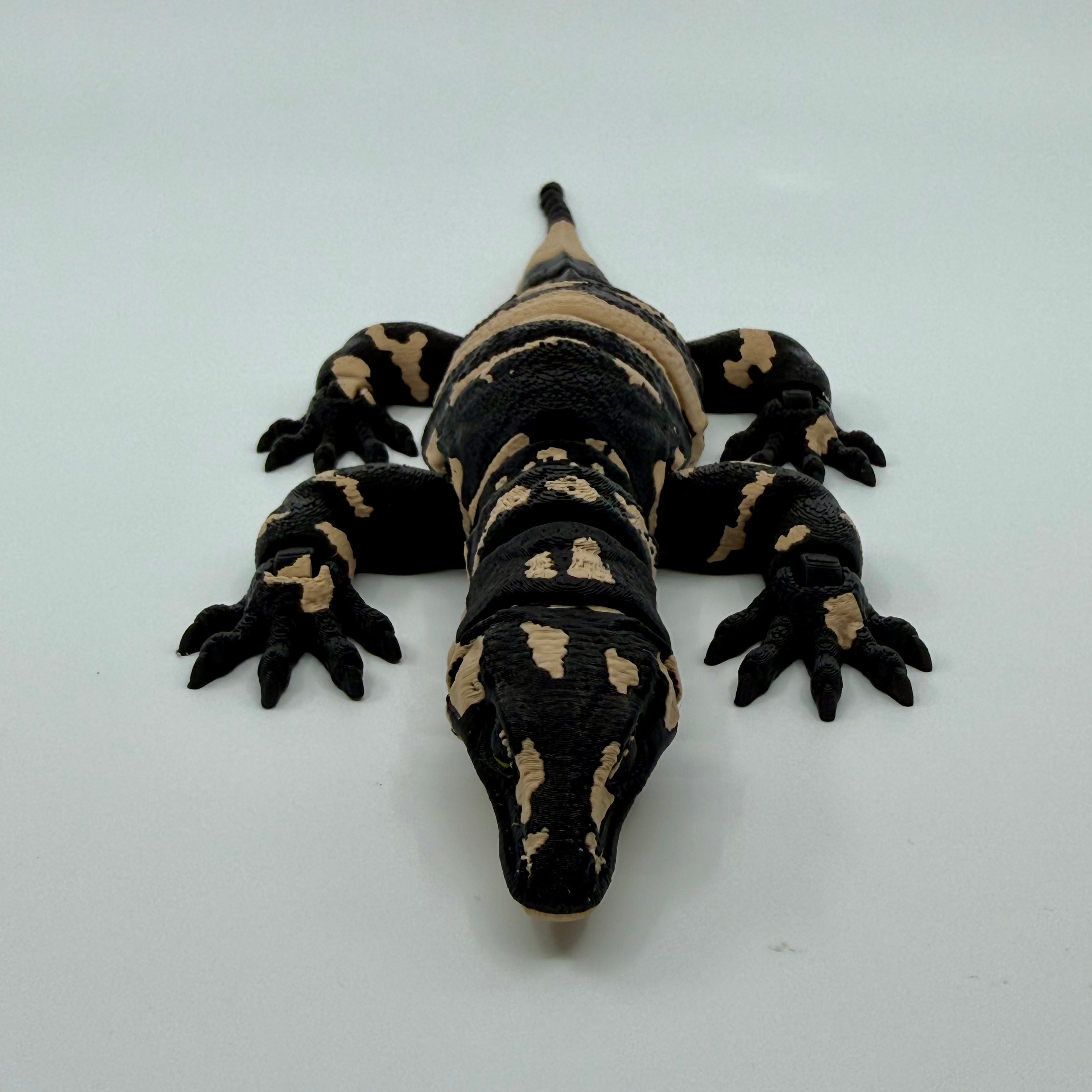 Lace Monitor