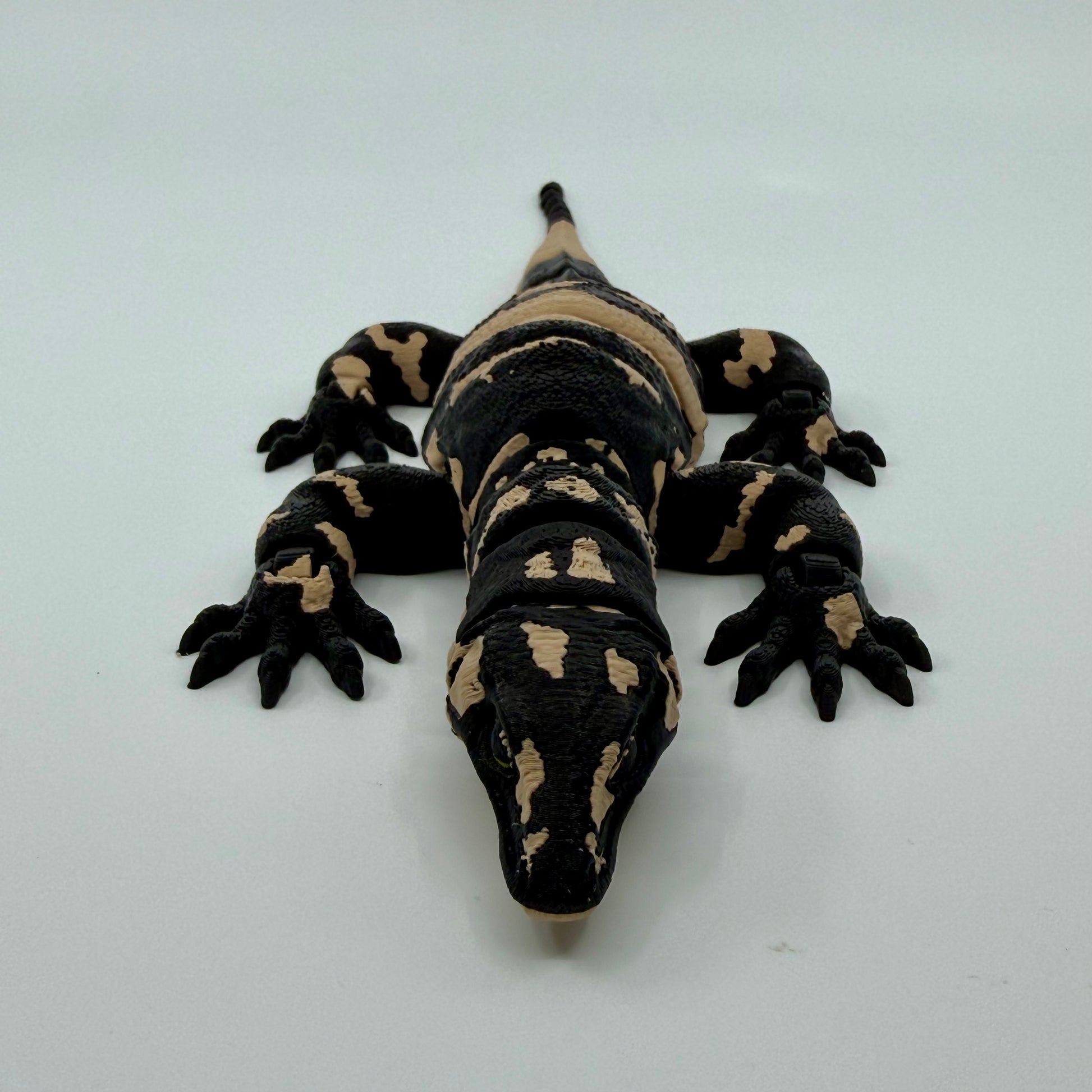 Lace Monitor