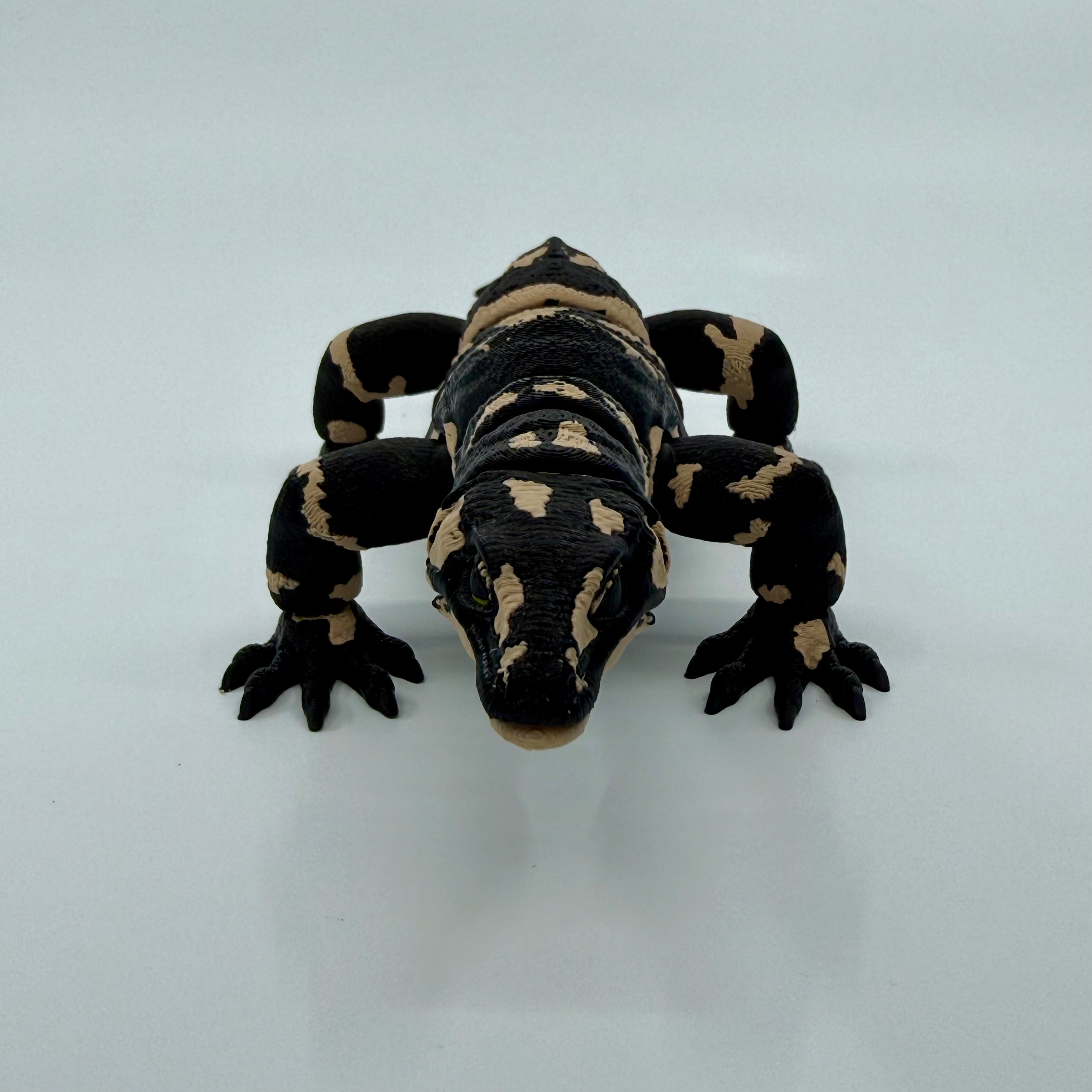 Lace Monitor