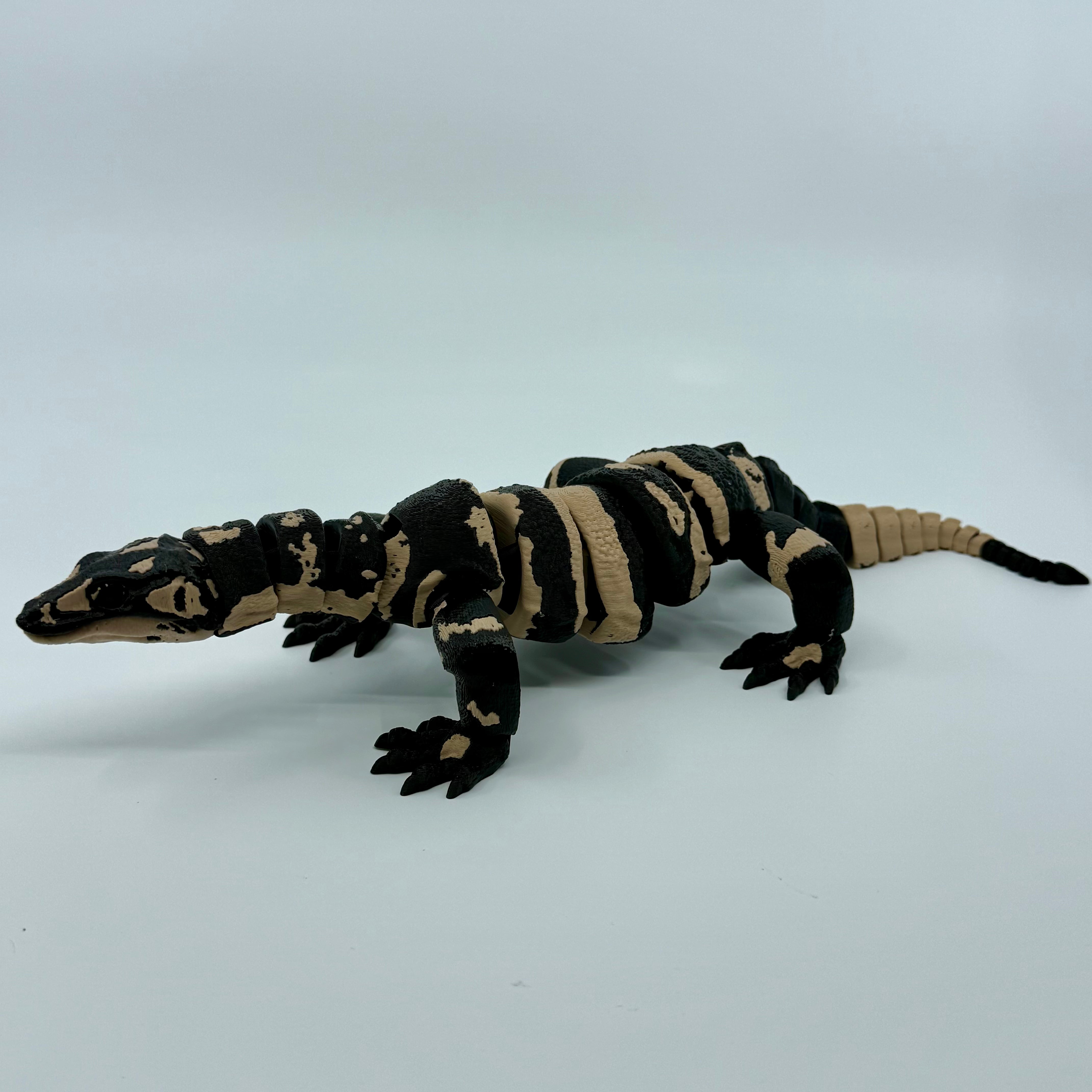 Lace Monitor