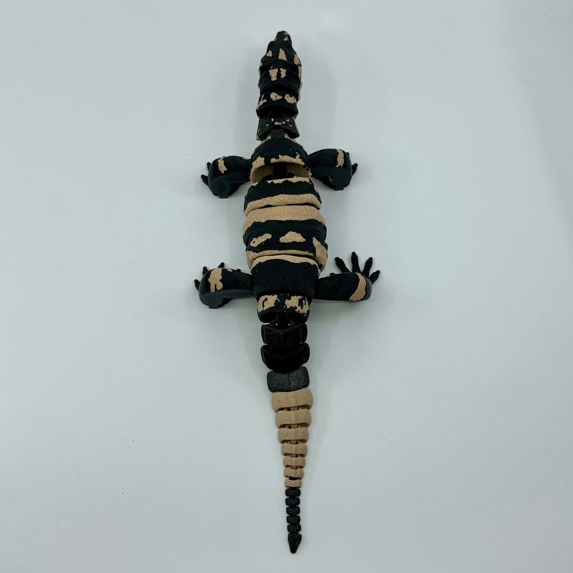 Lace Monitor