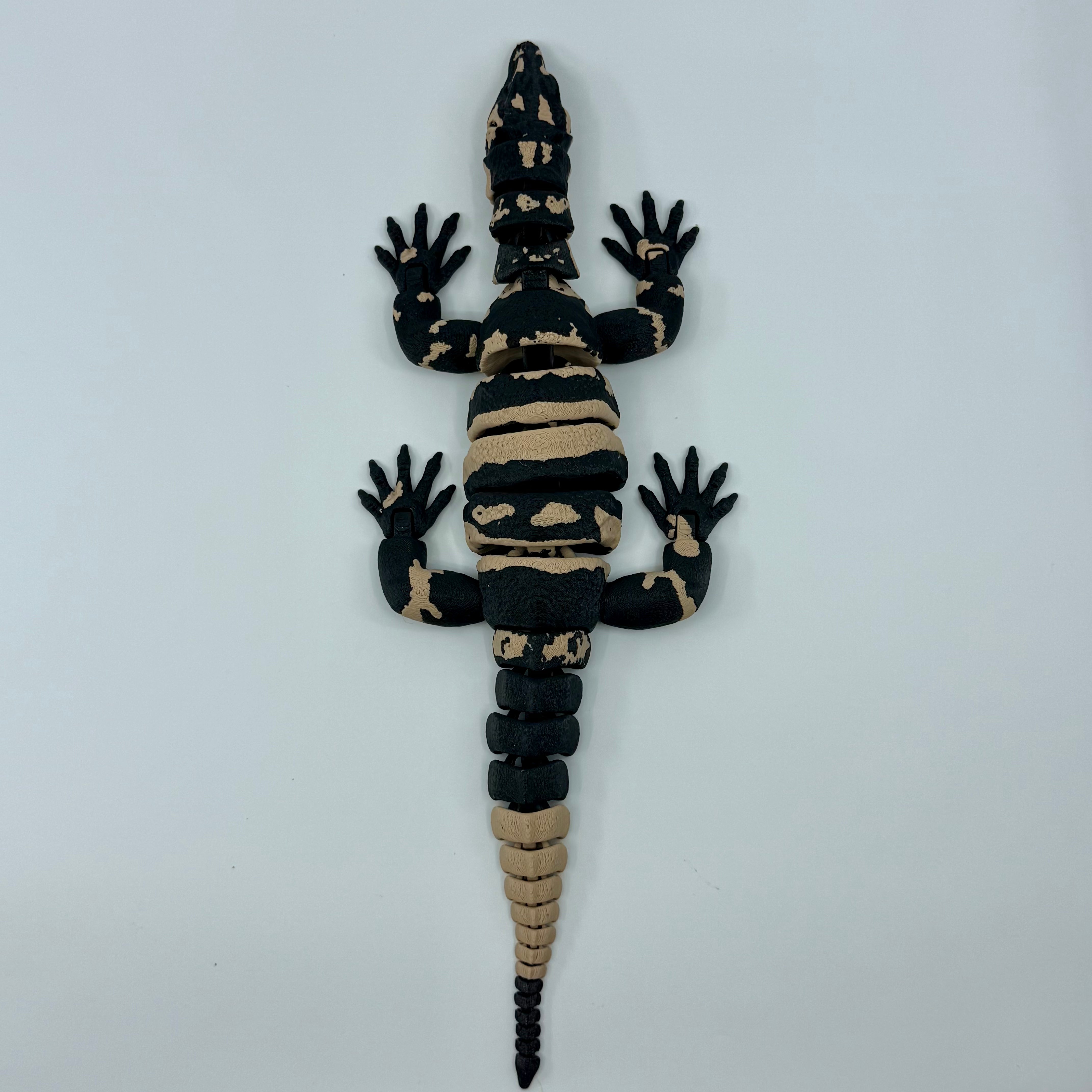 Lace Monitor
