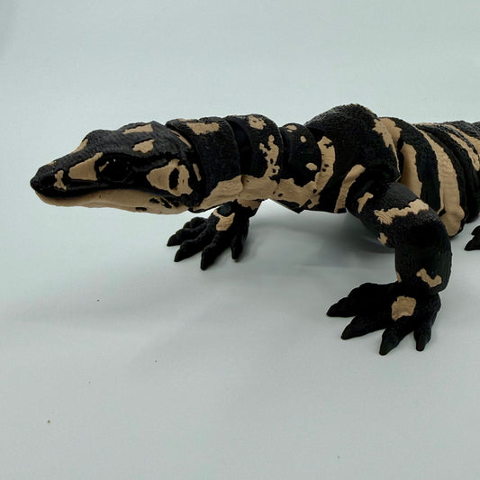 Lace Monitor