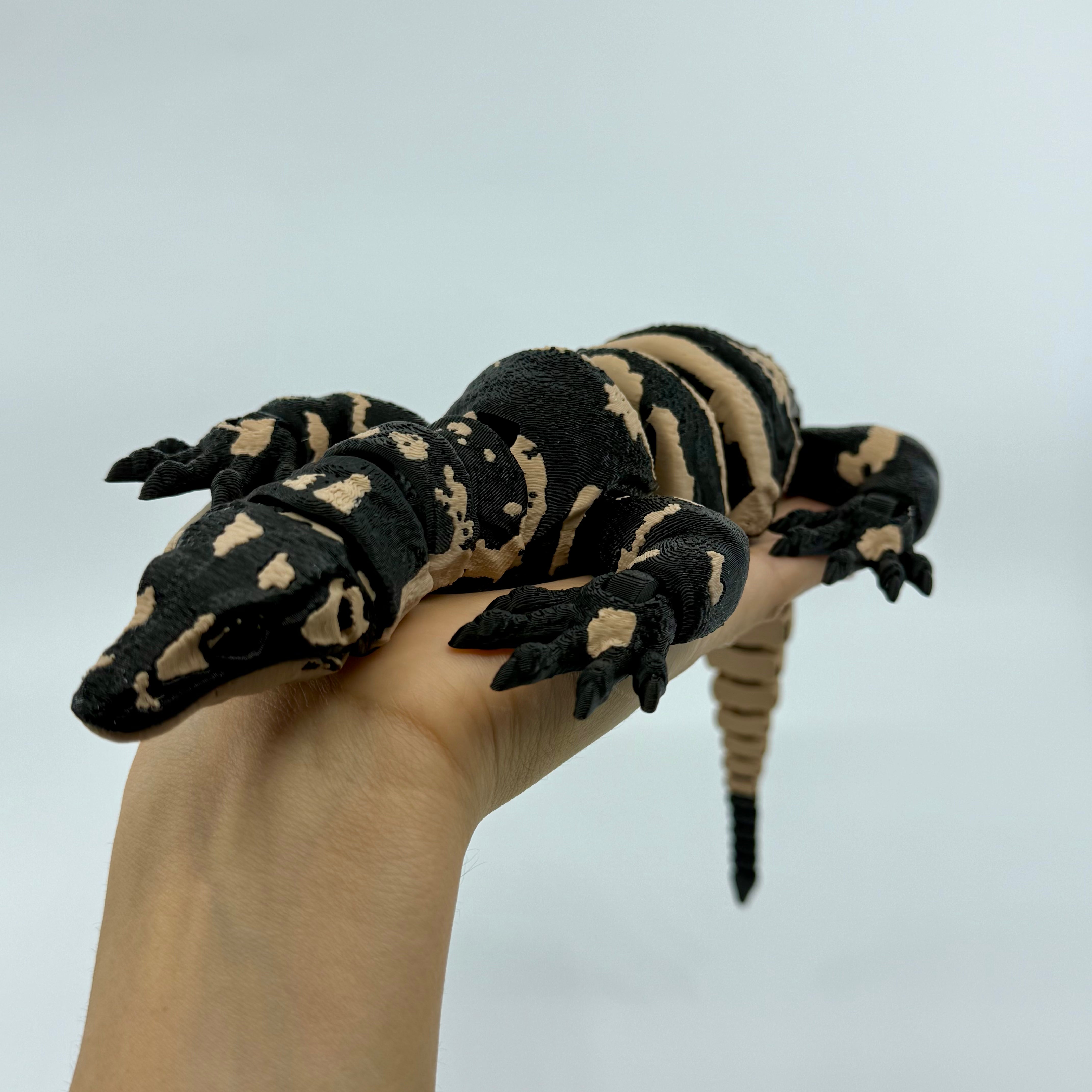 Lace Monitor