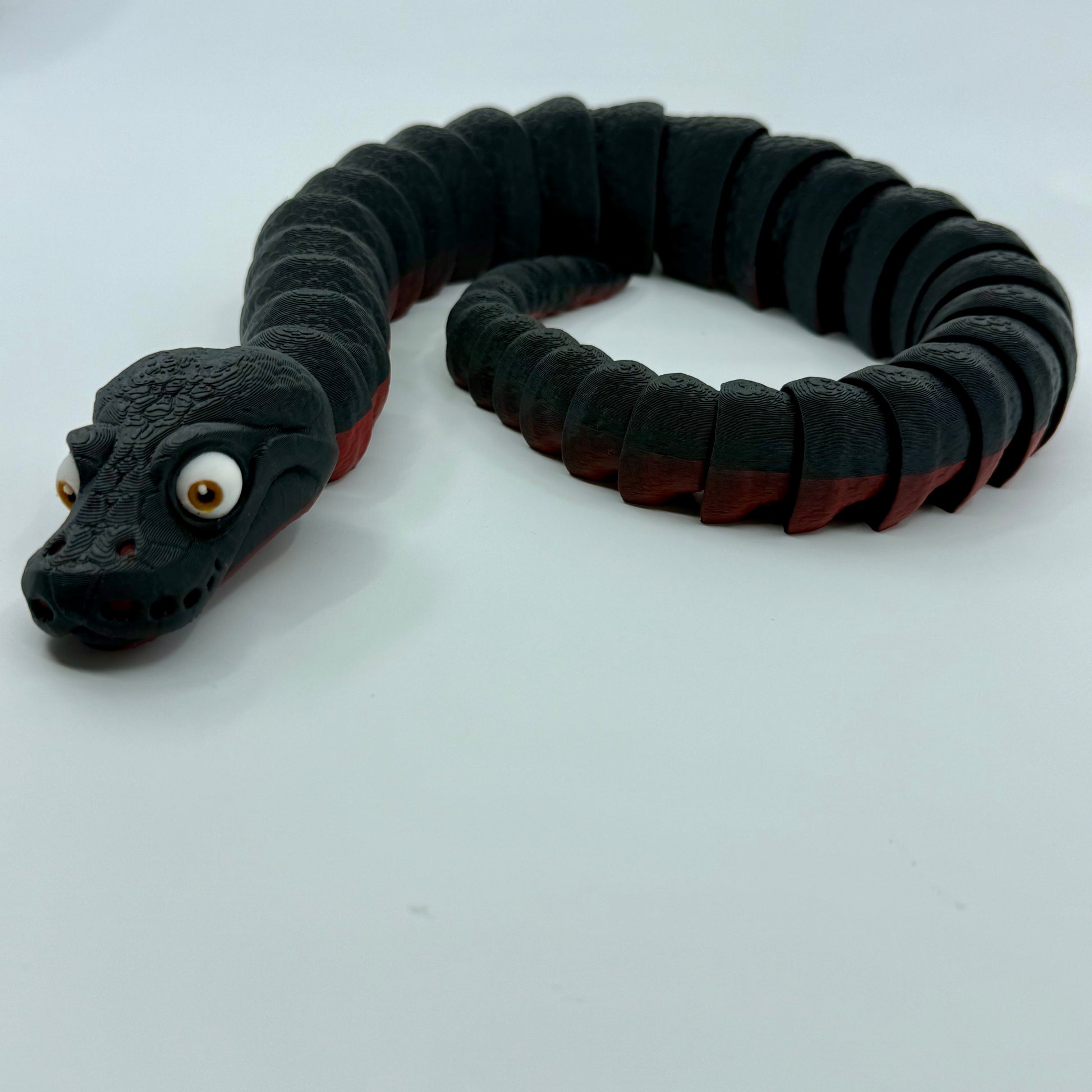 Red-Bellied Black Snake