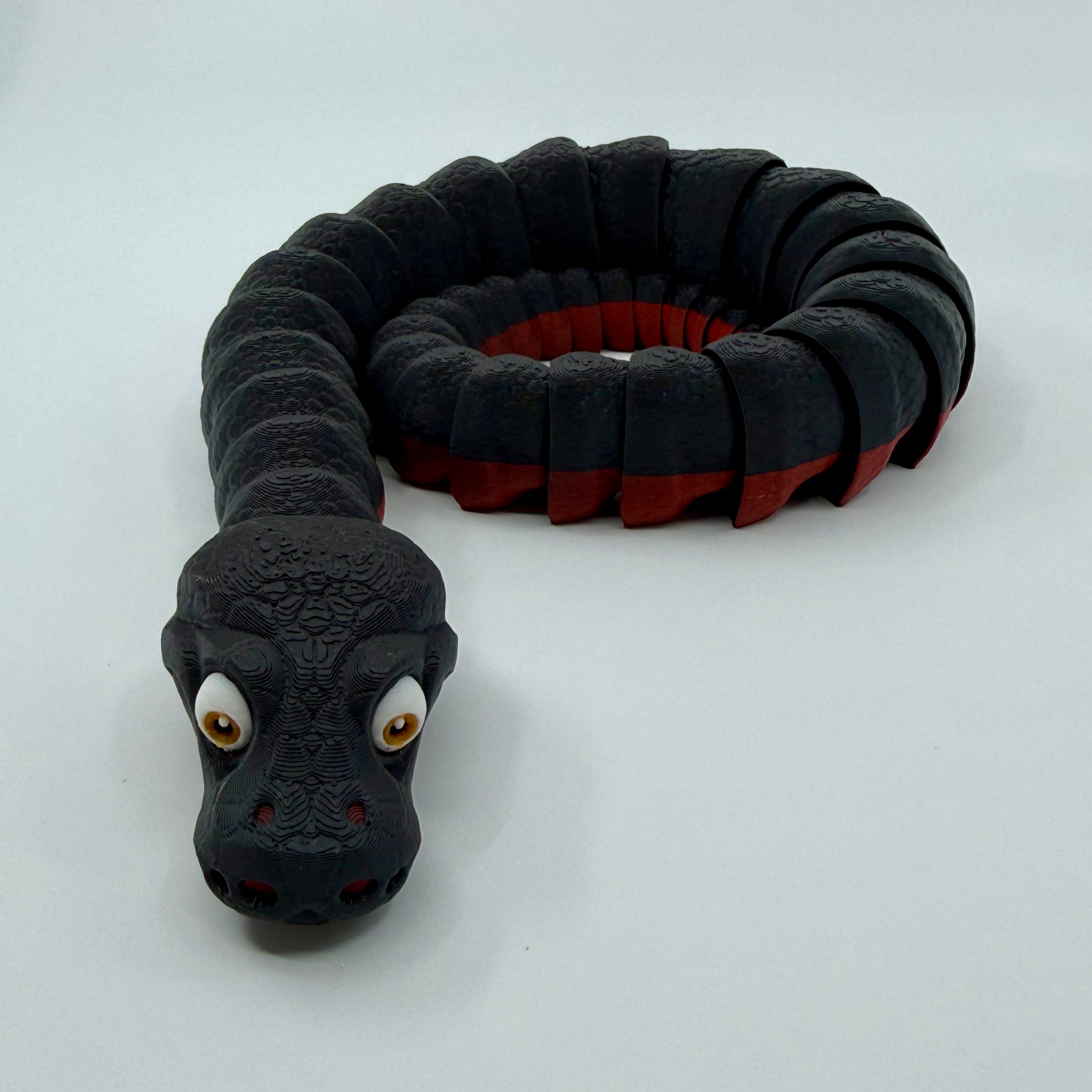 Red-Bellied Black Snake