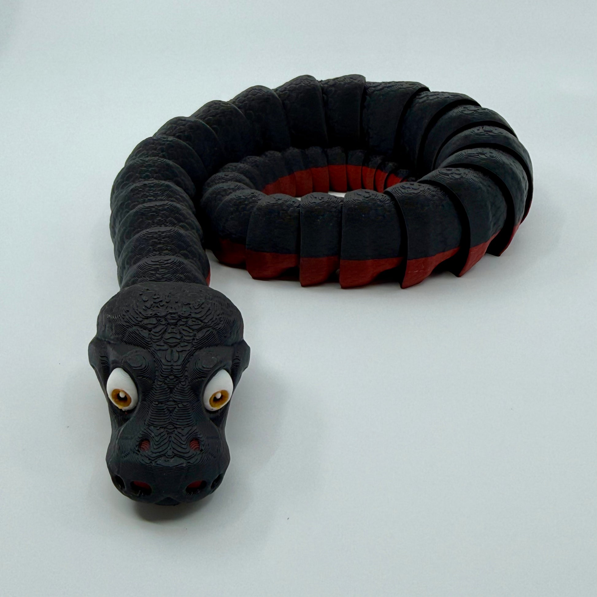 Red-Bellied Black Snake