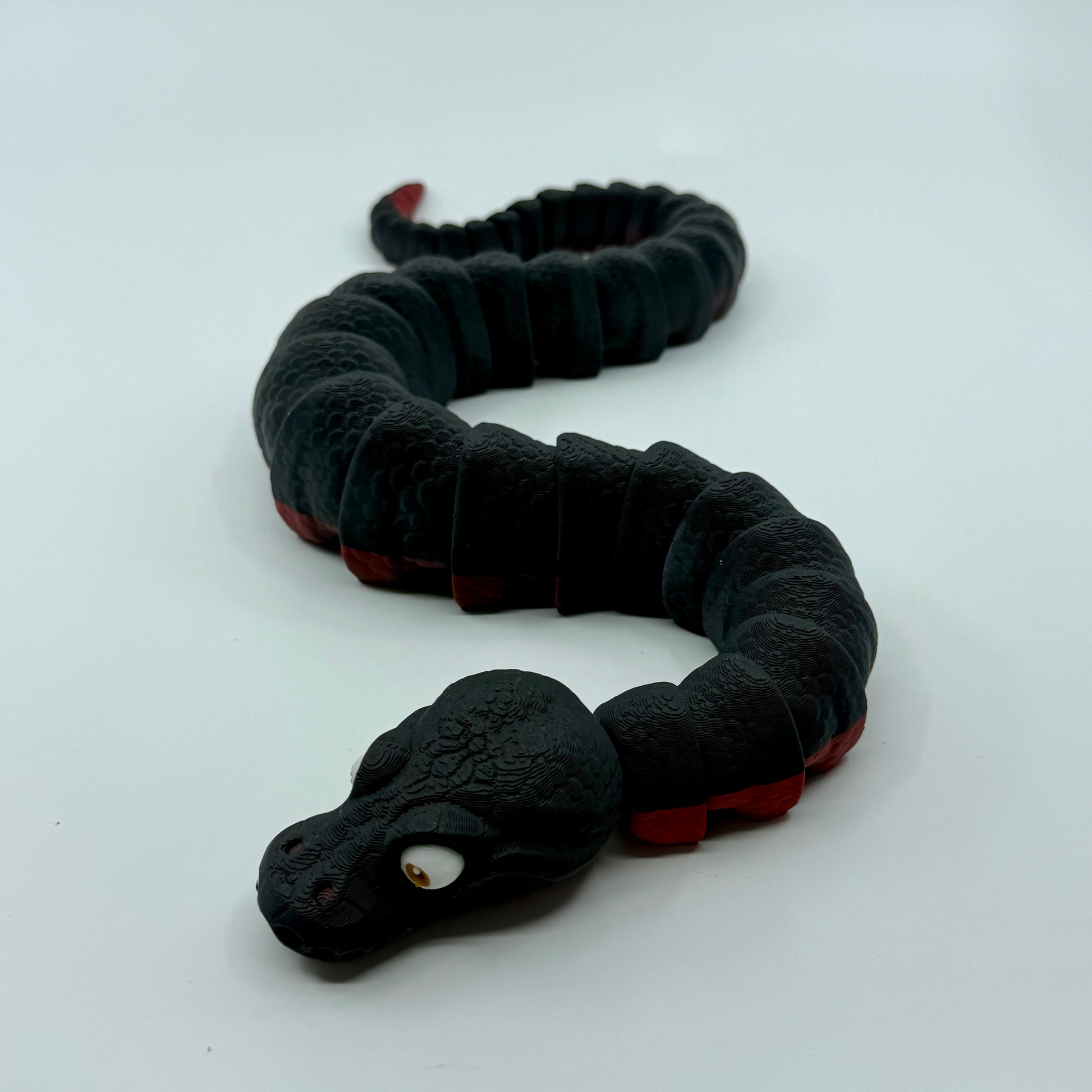 Red-Bellied Black Snake