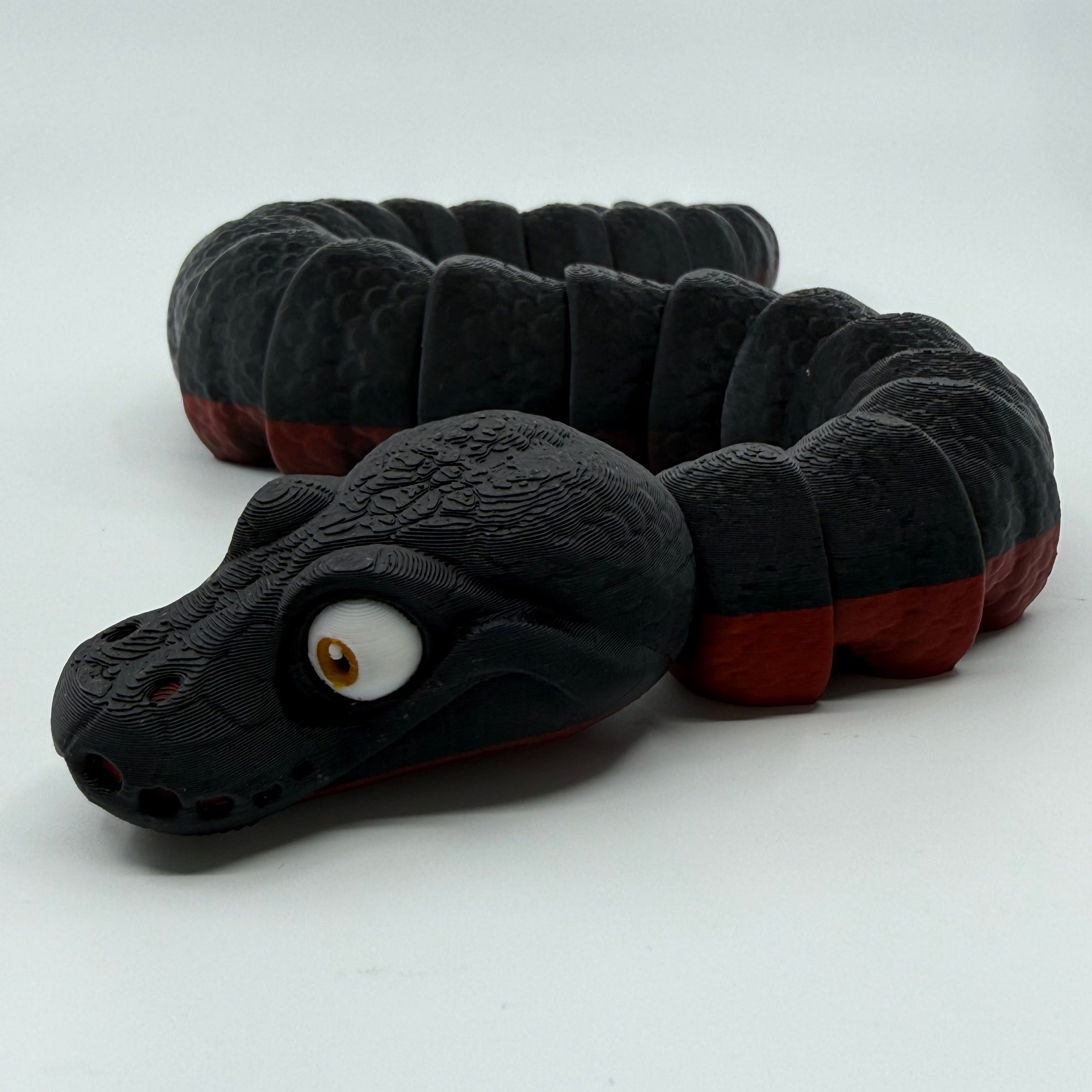 Red-Bellied Black Snake