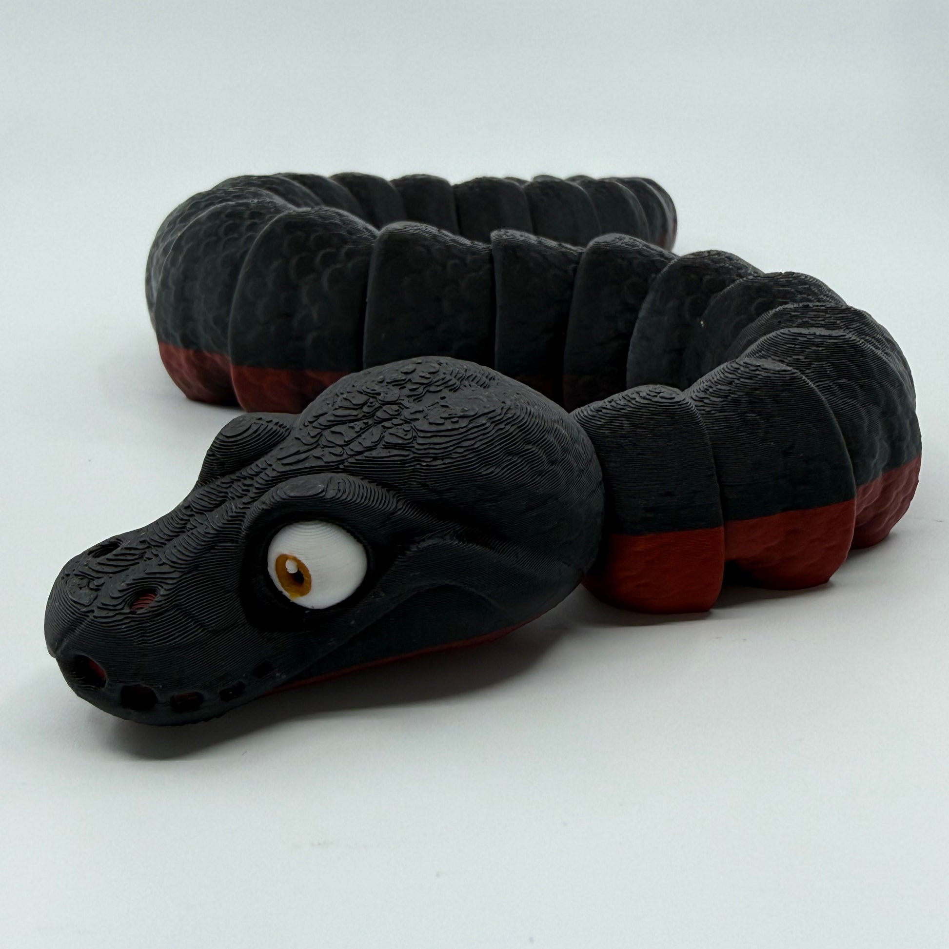 Red-Bellied Black Snake