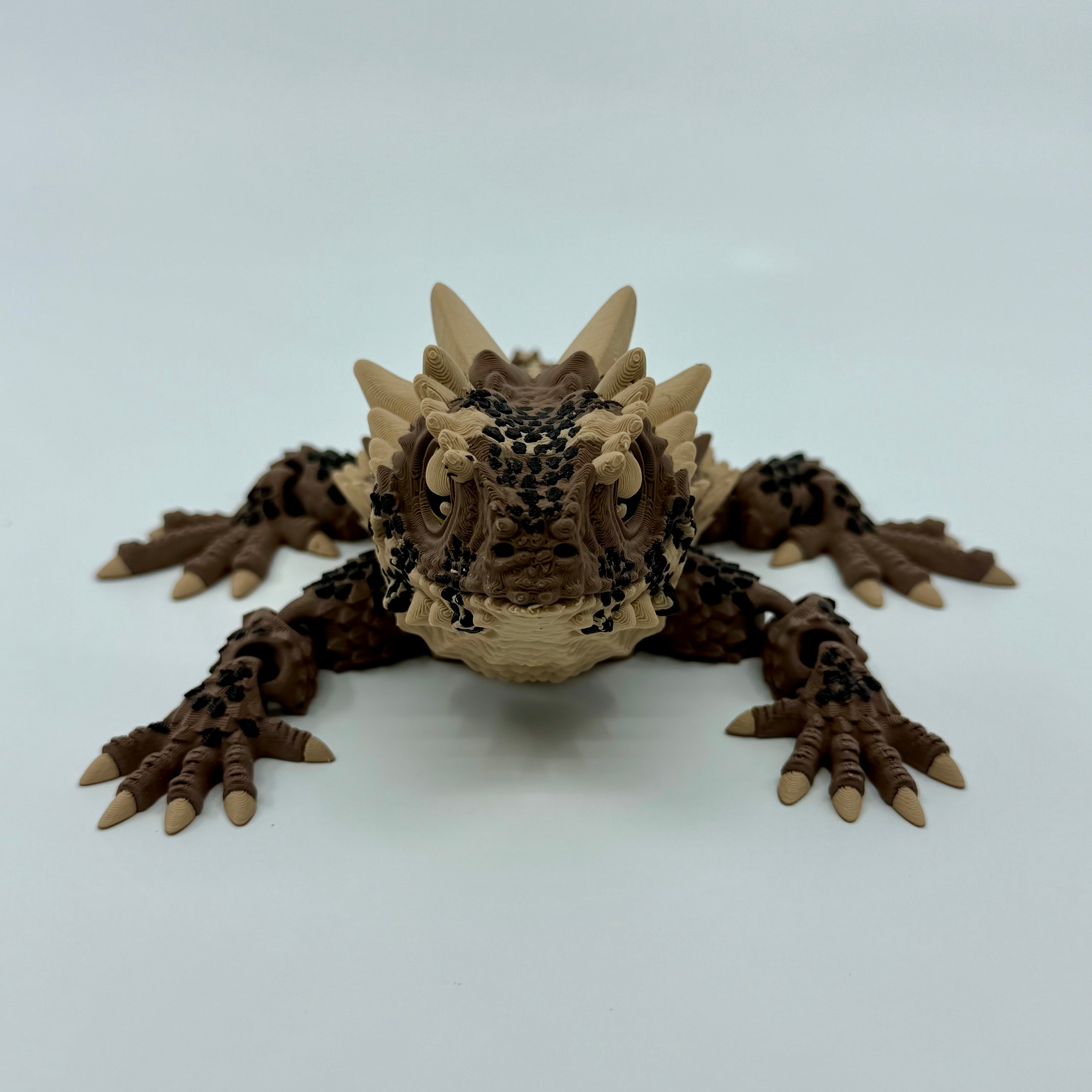 Horned Lizard