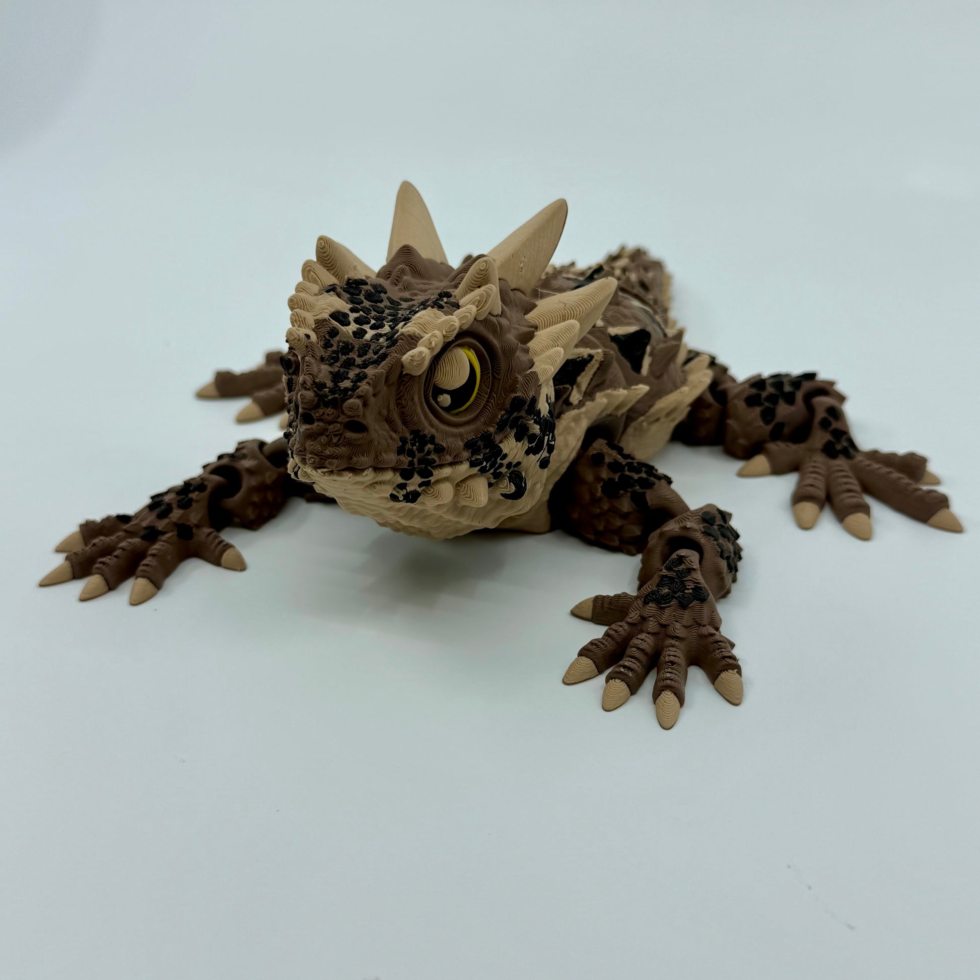 Horned Lizard