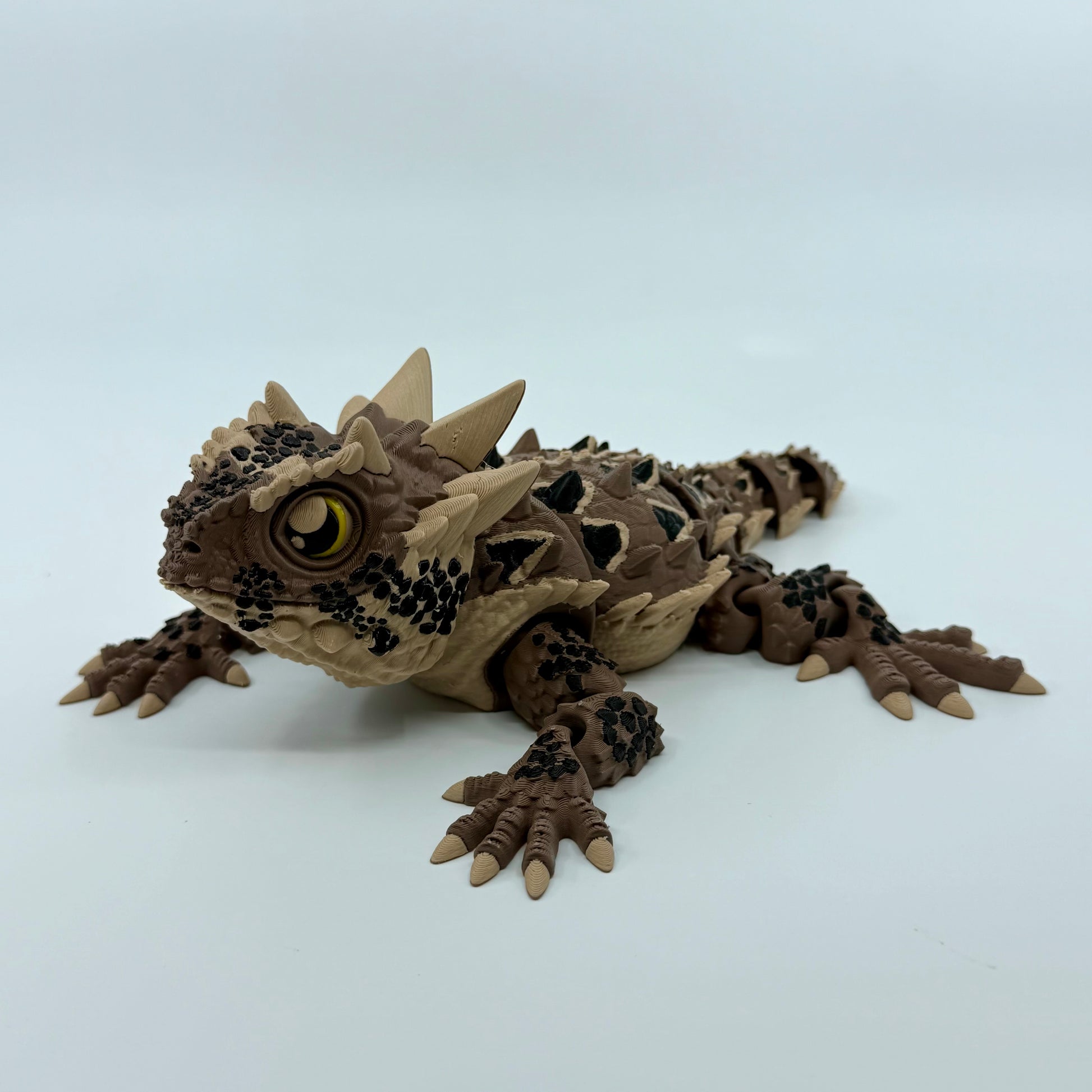 Horned Lizard