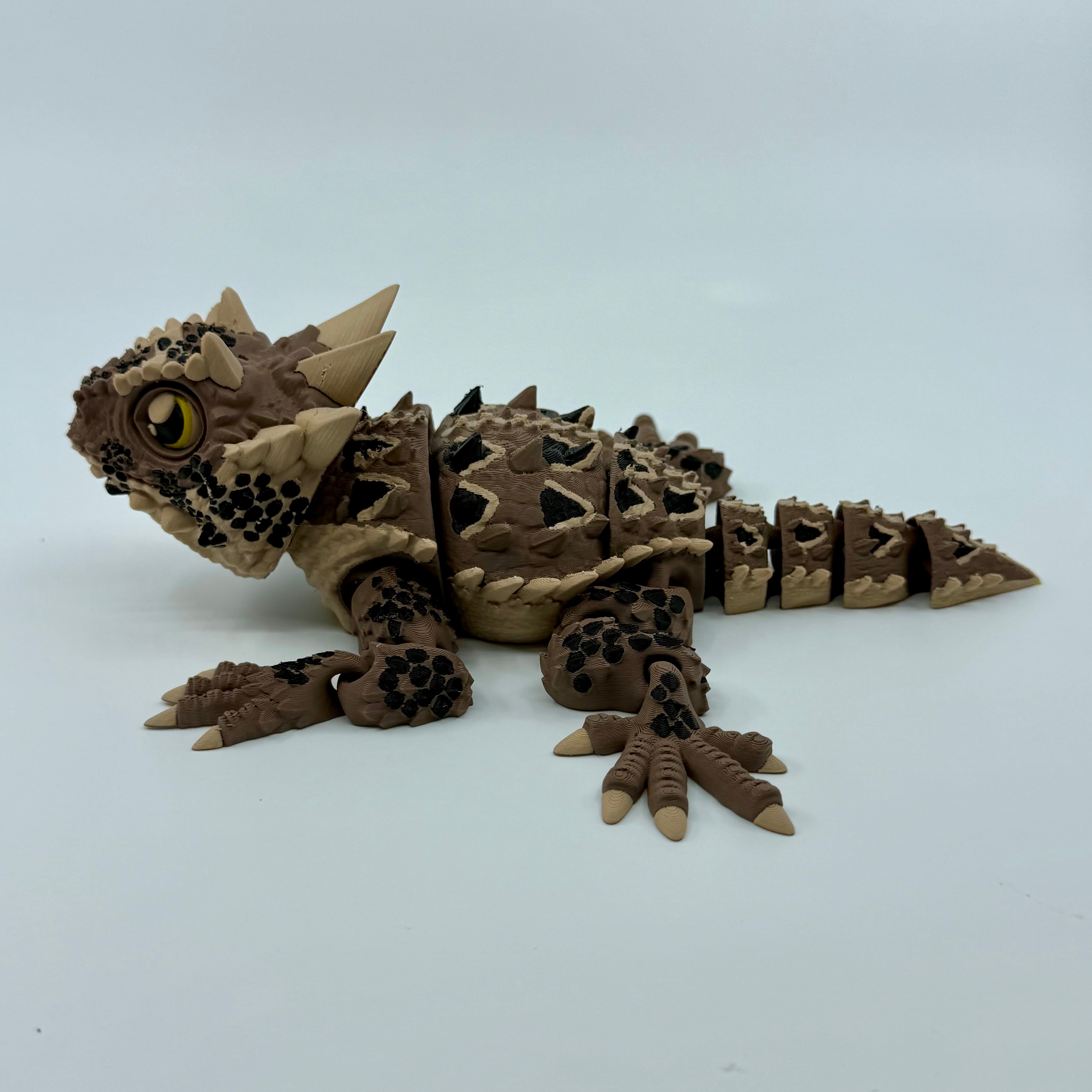 Horned Lizard