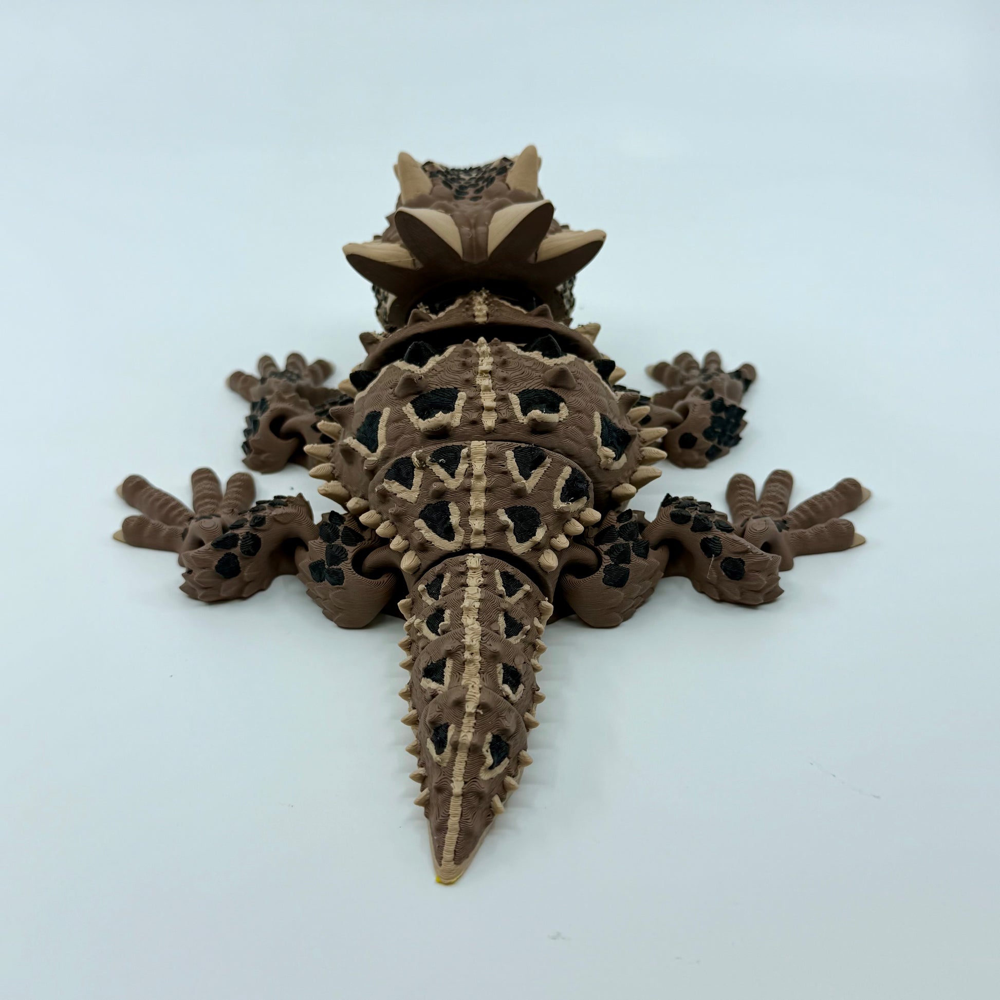 Horned Lizard