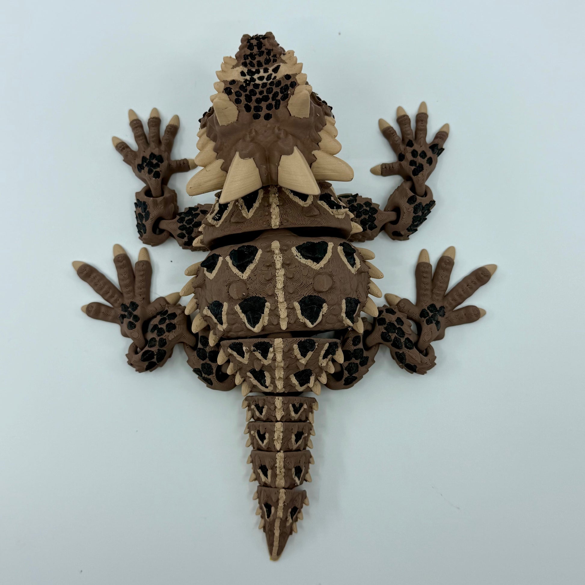 Horned Lizard