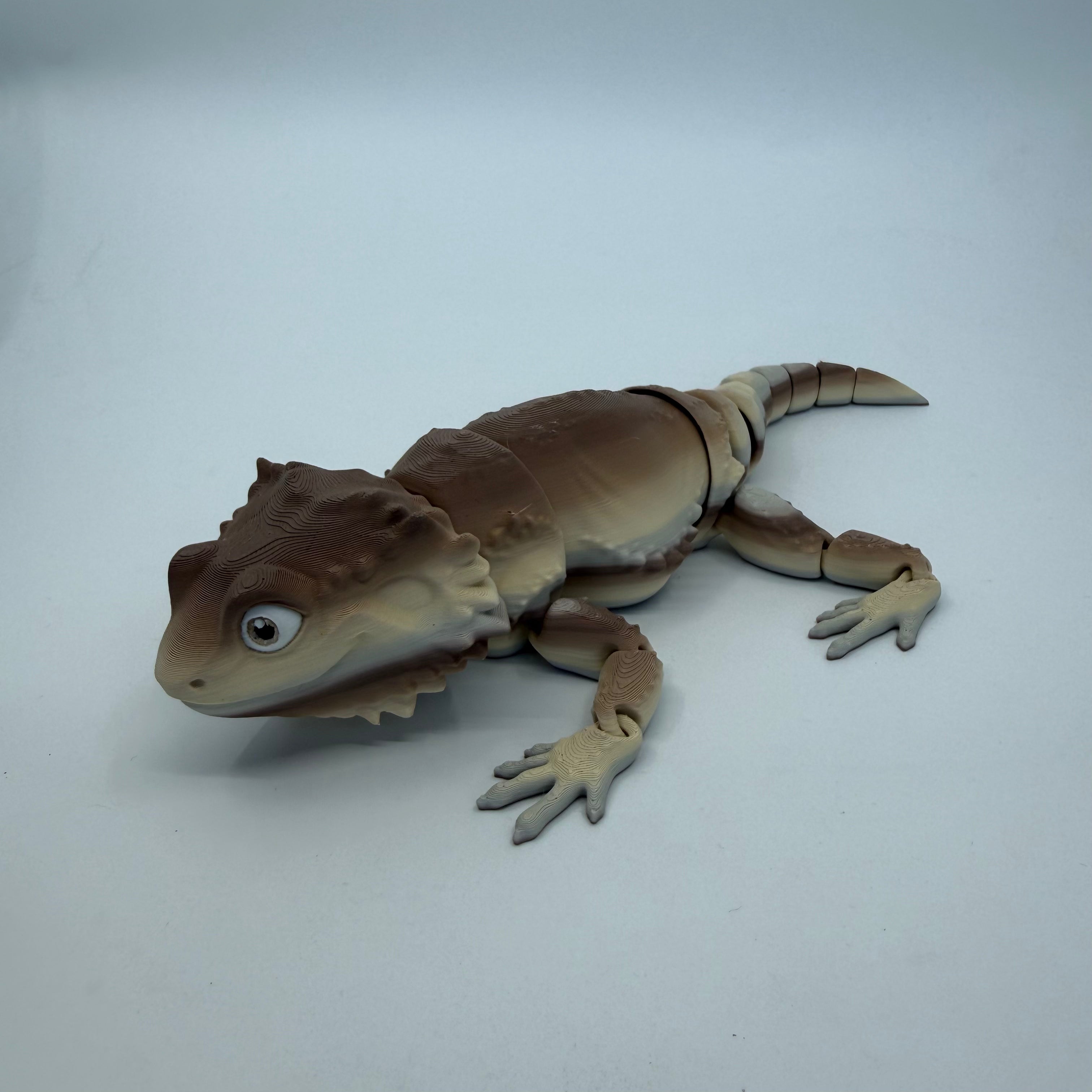 Bearded Dragon
