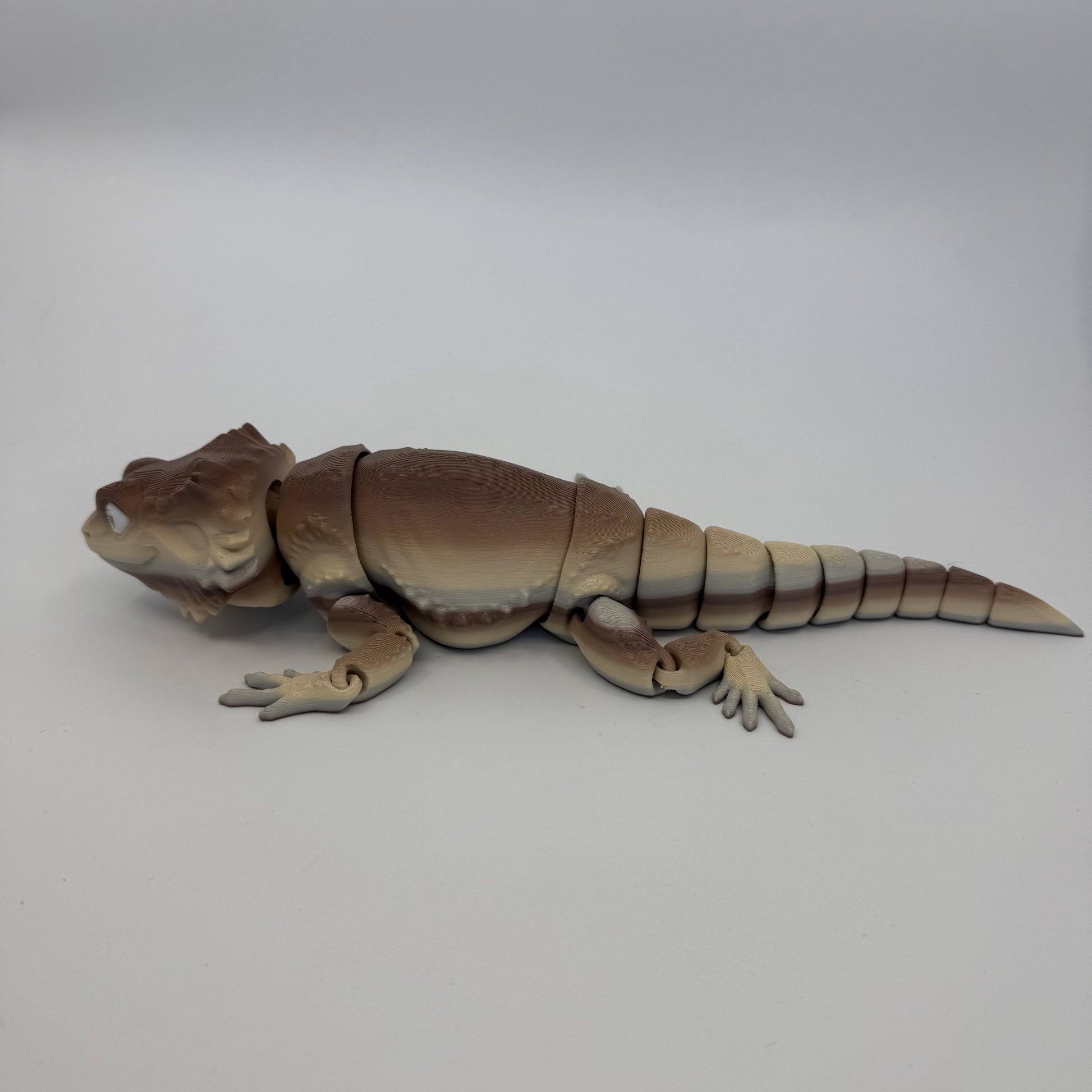 Bearded Dragon