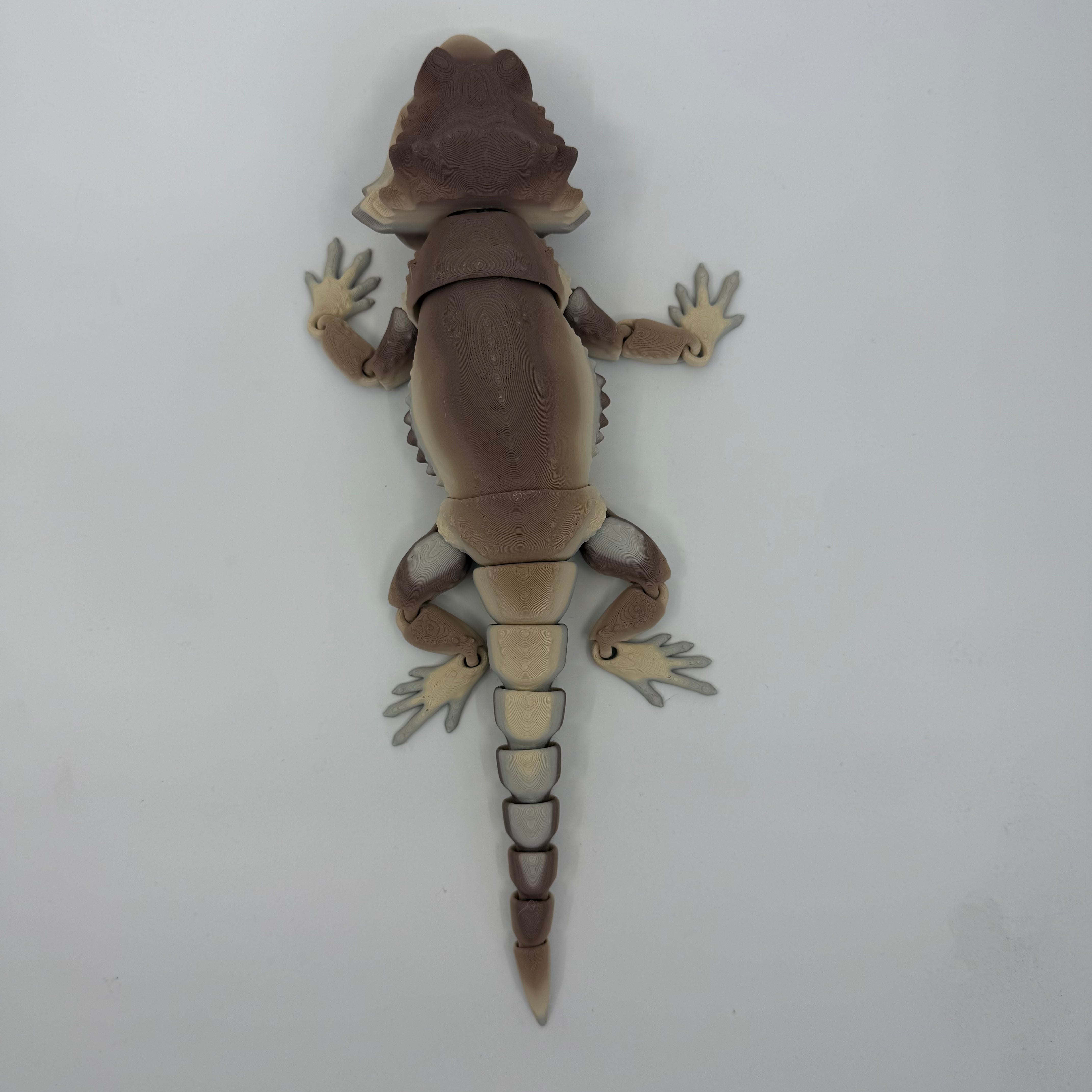 Bearded Dragon