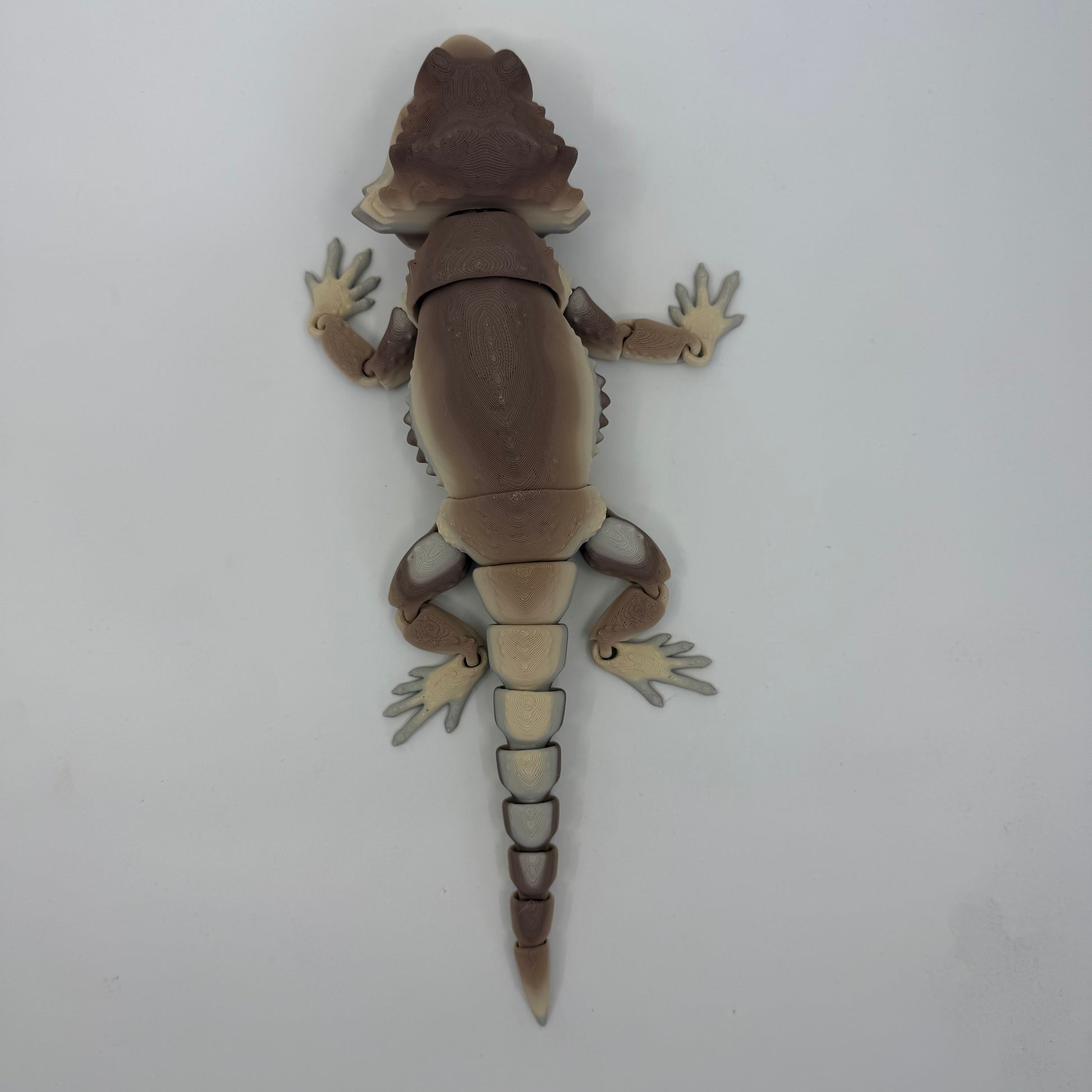 Bearded Dragon