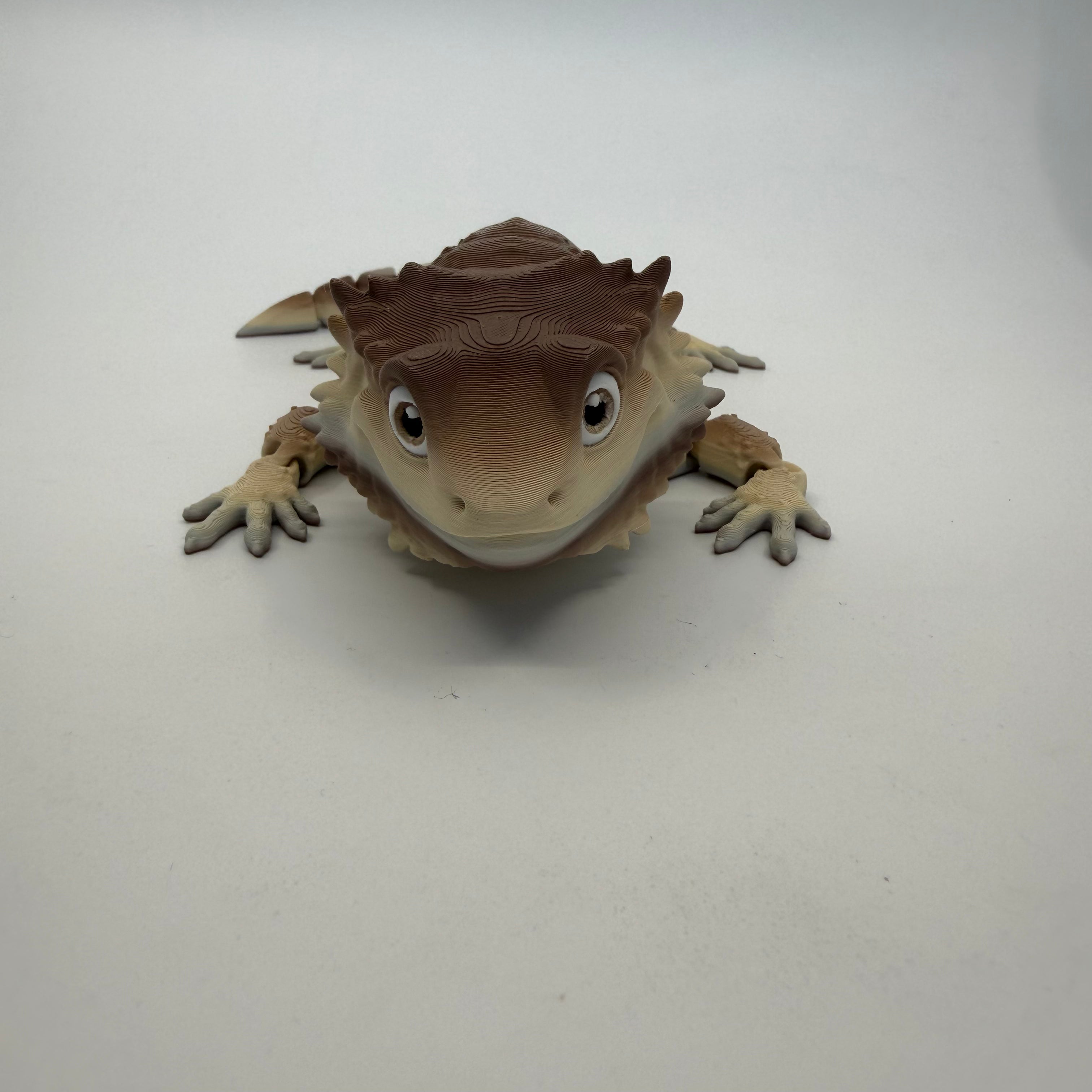 Bearded Dragon