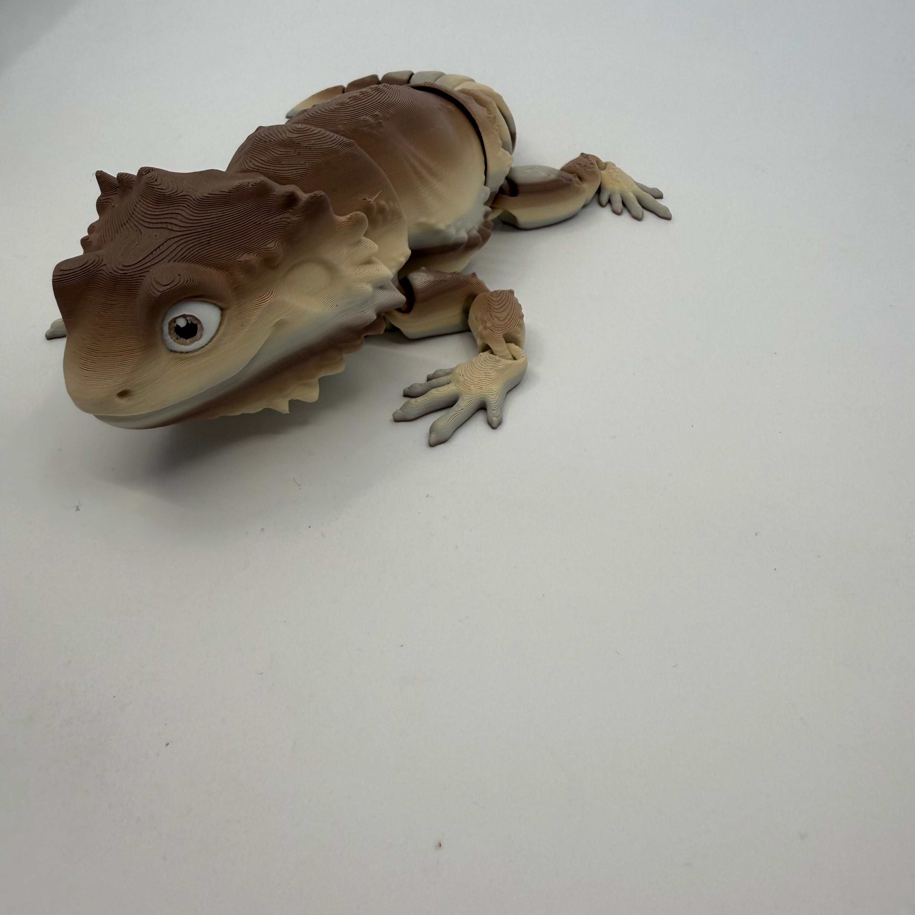 Bearded Dragon