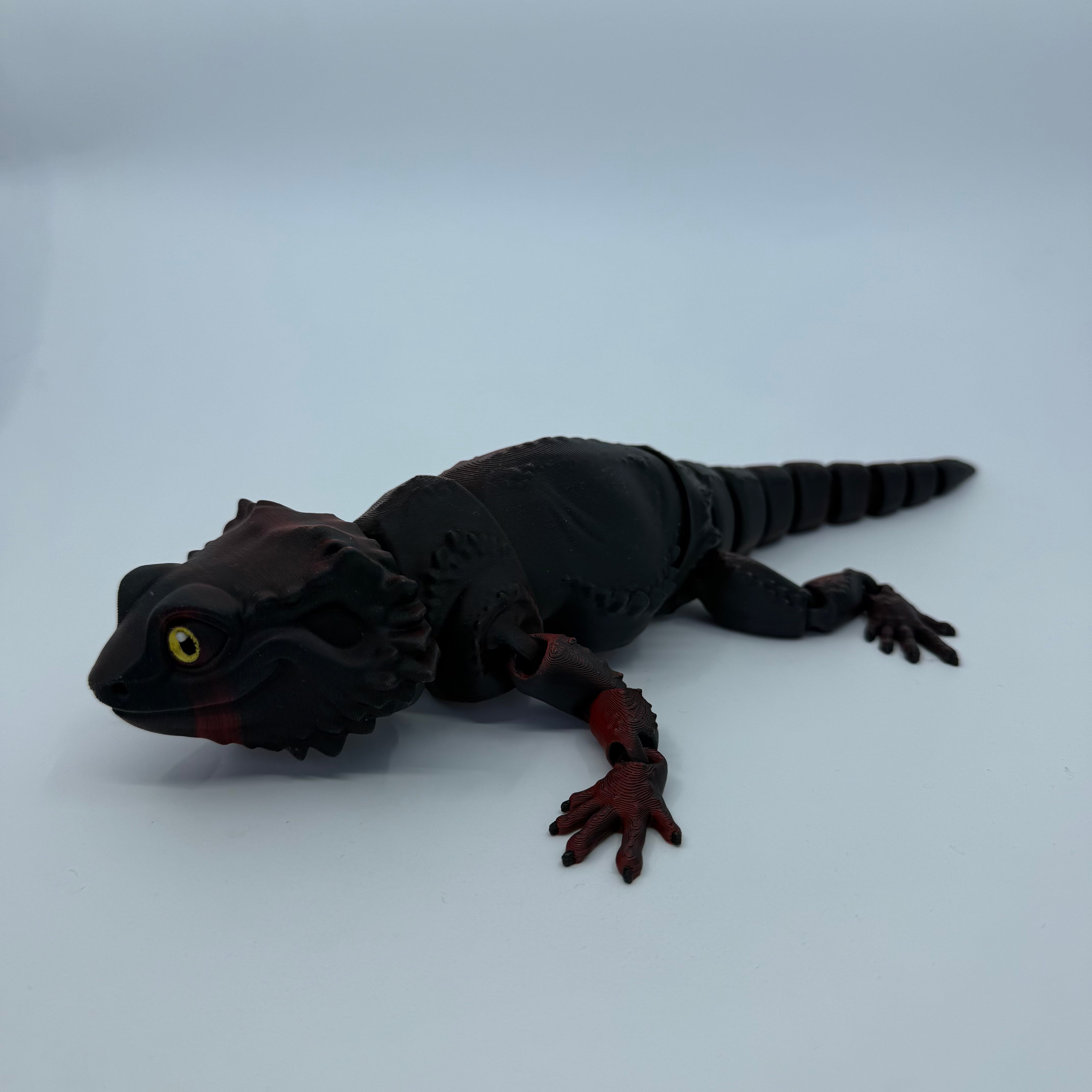 Bearded Dragon