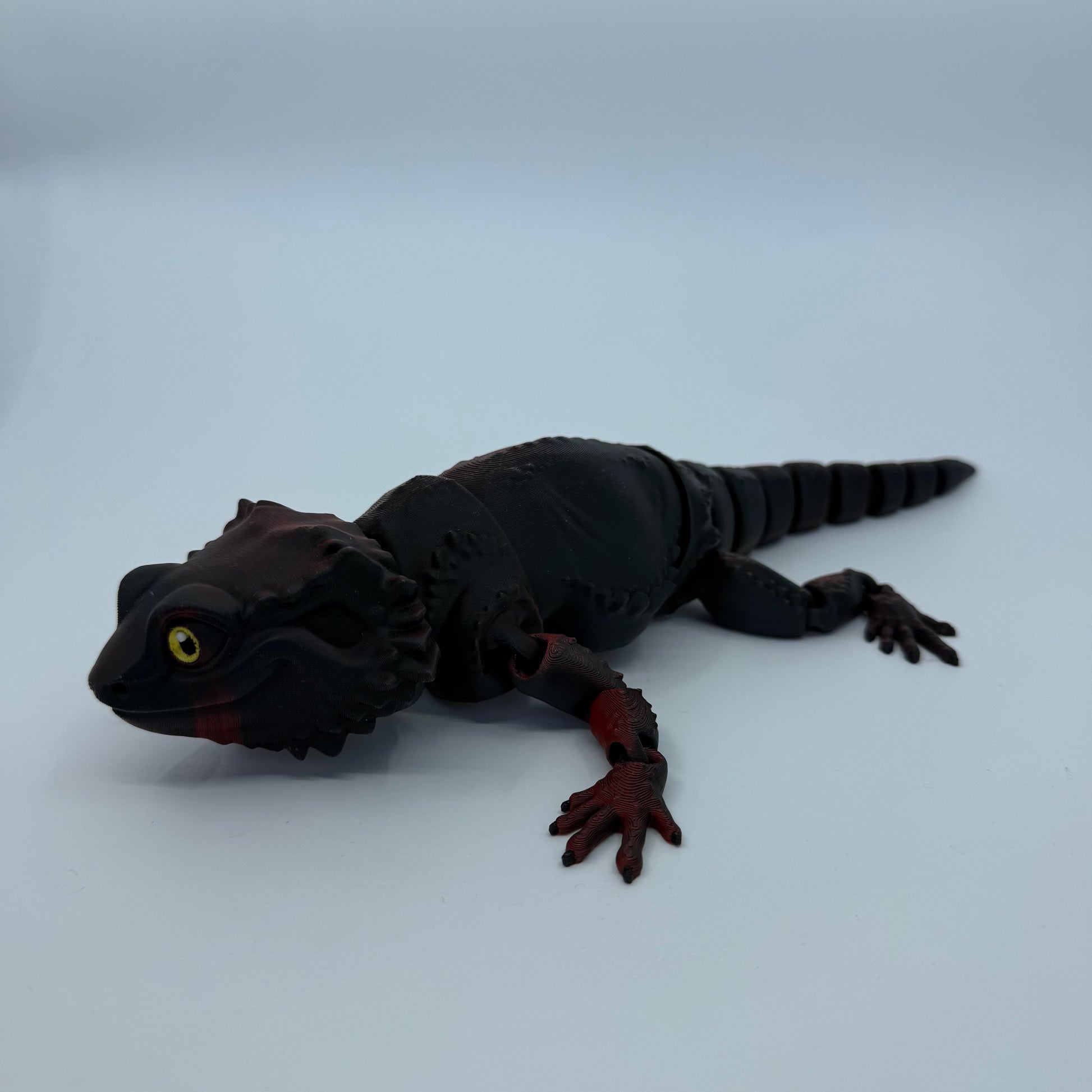 Bearded Dragon