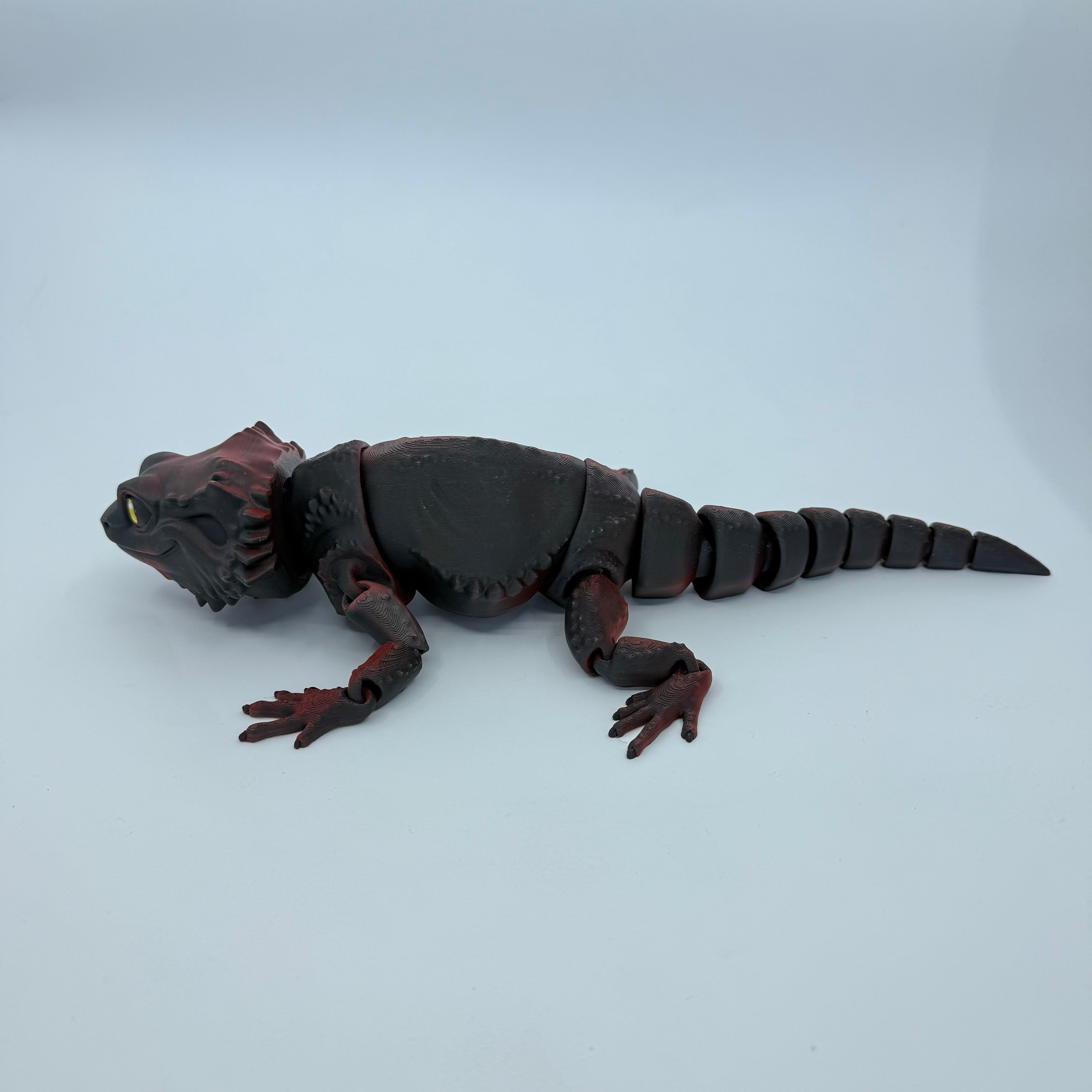 Bearded Dragon