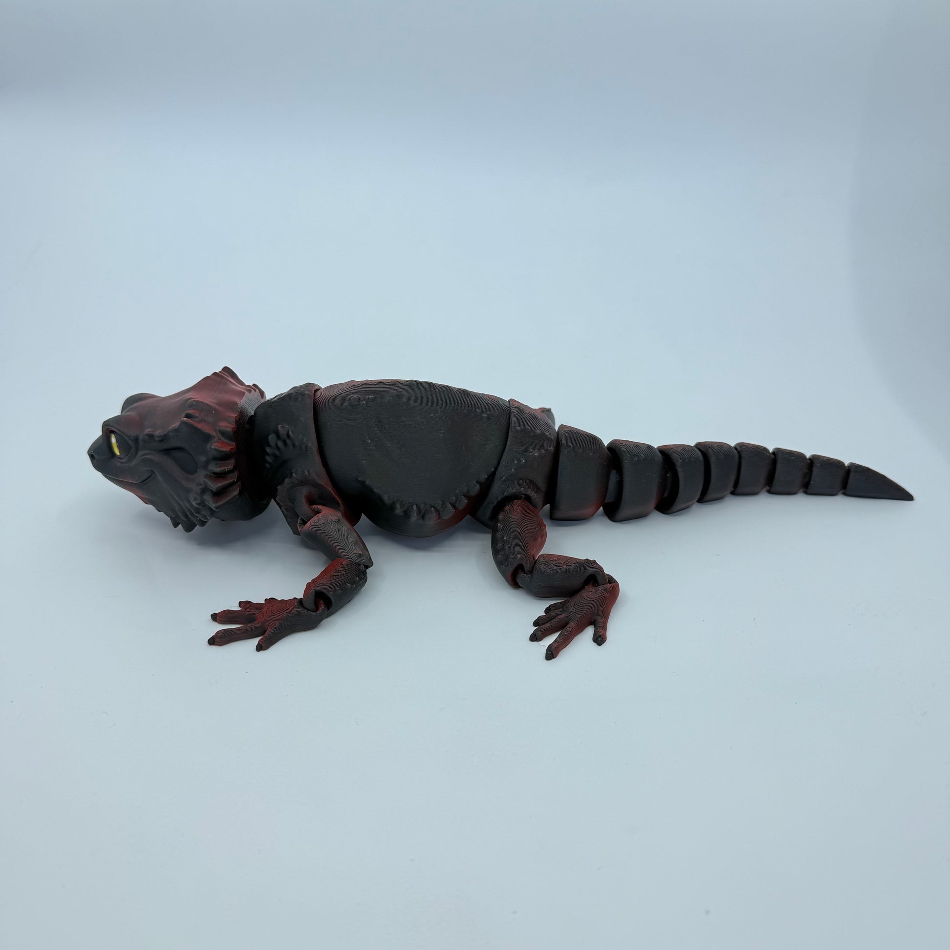 Bearded Dragon