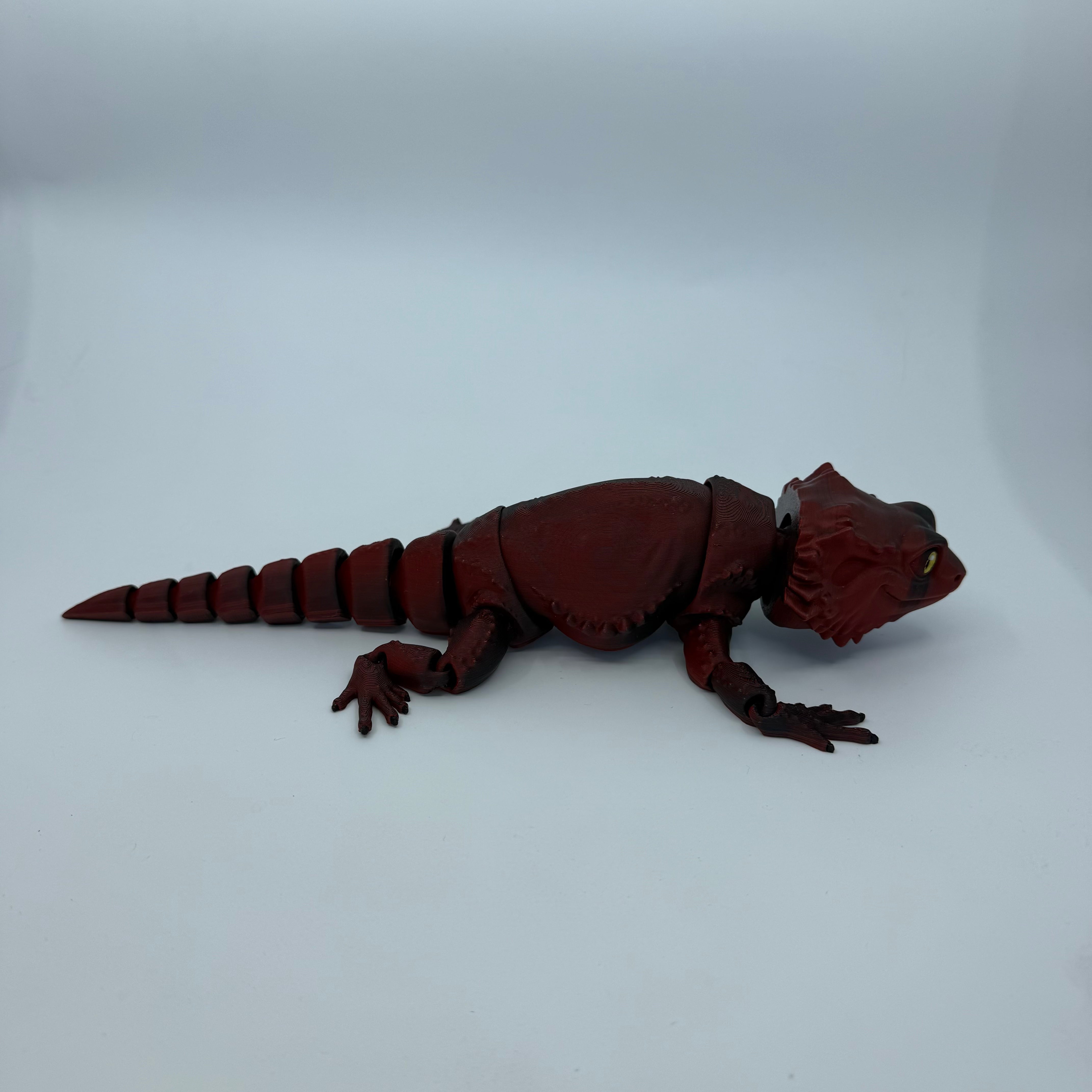 Bearded Dragon