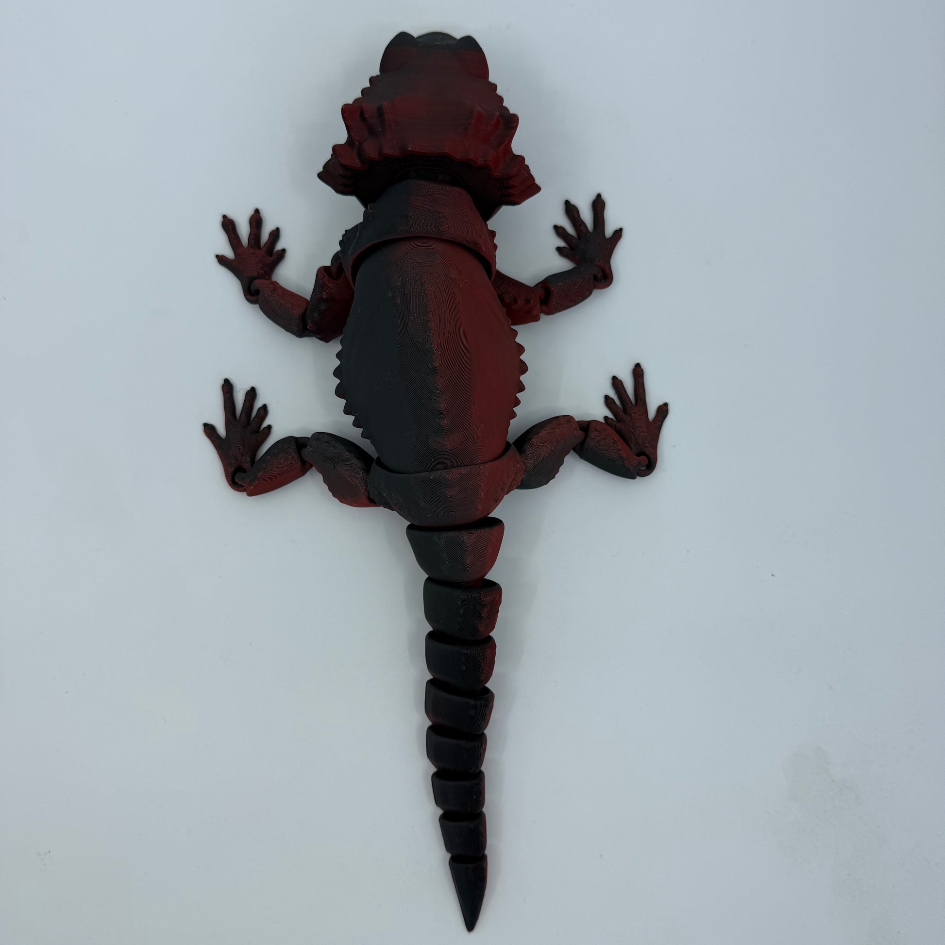 Bearded Dragon