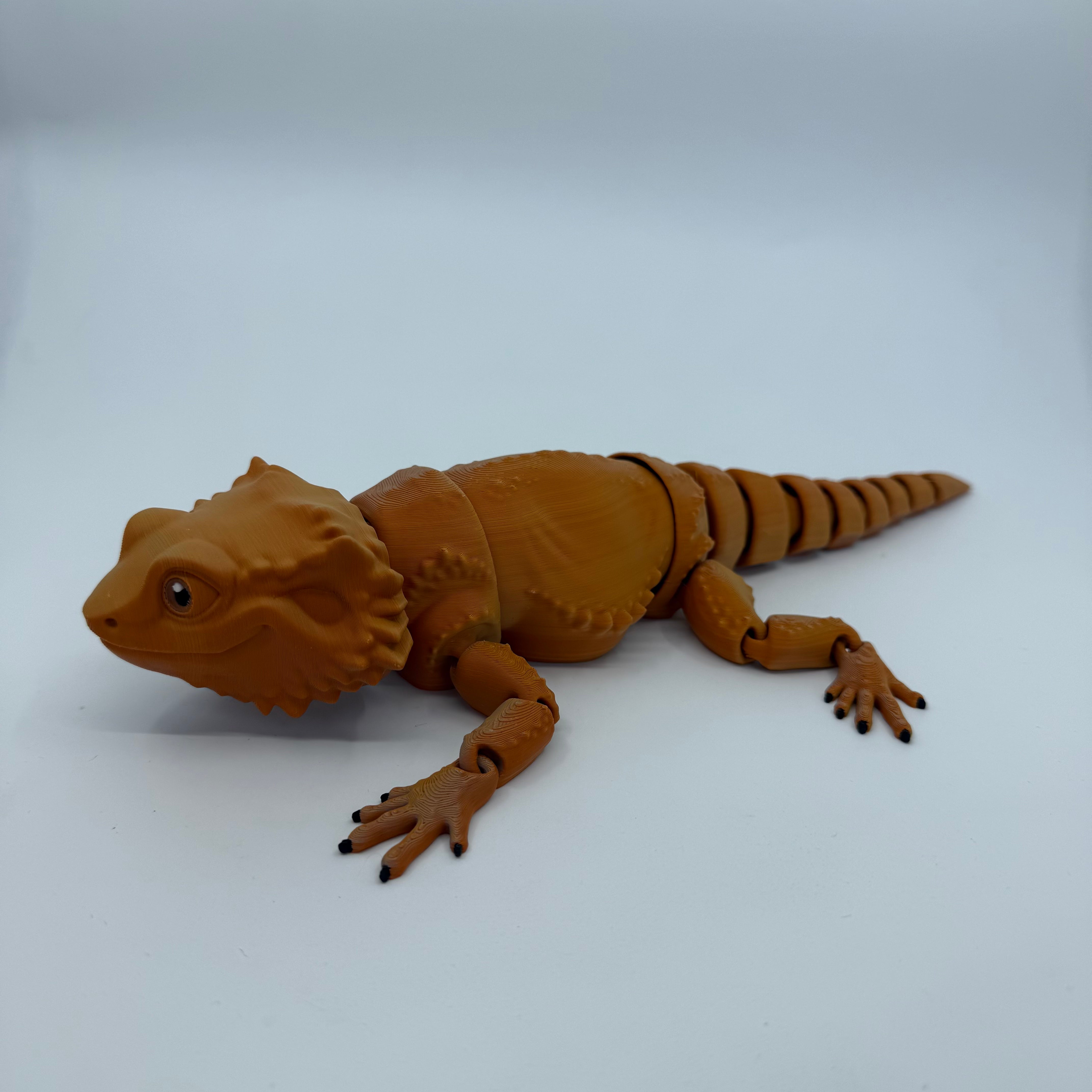 Bearded Dragon