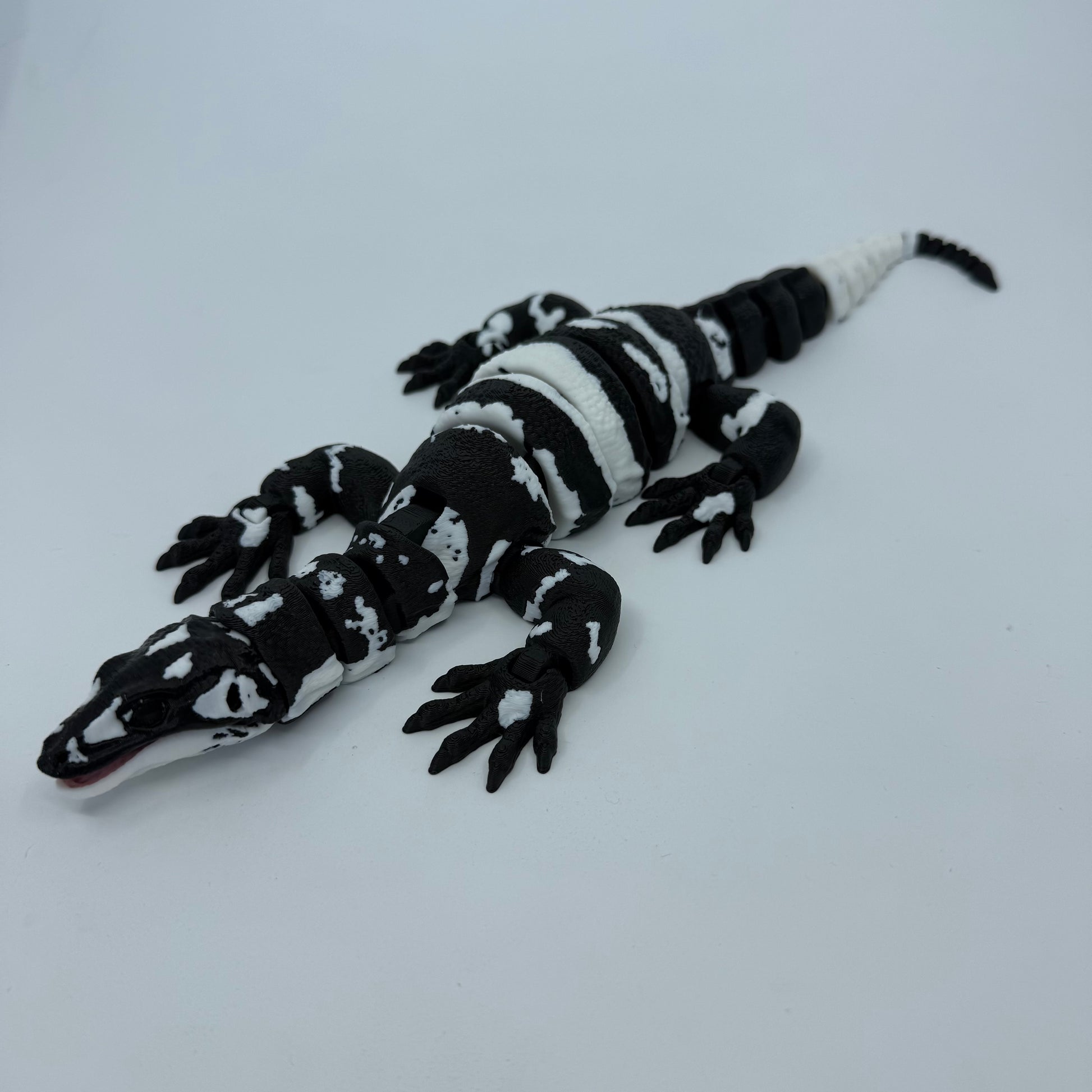 Lace Monitor