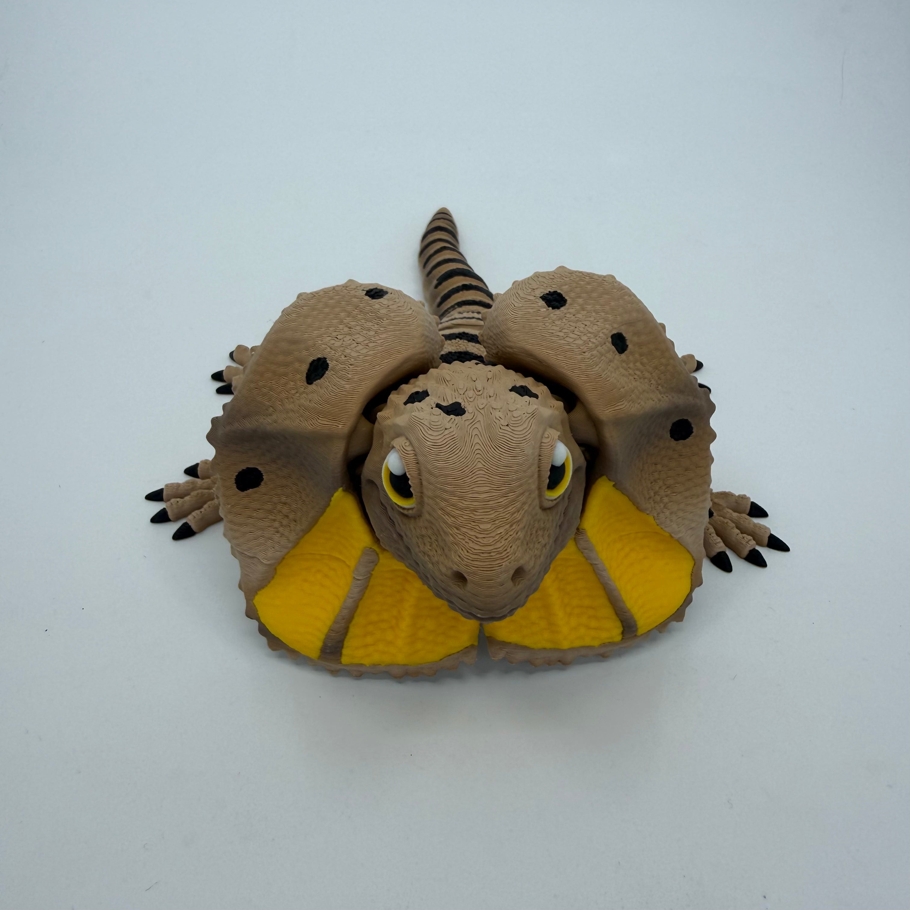Frilled-Neck Lizard