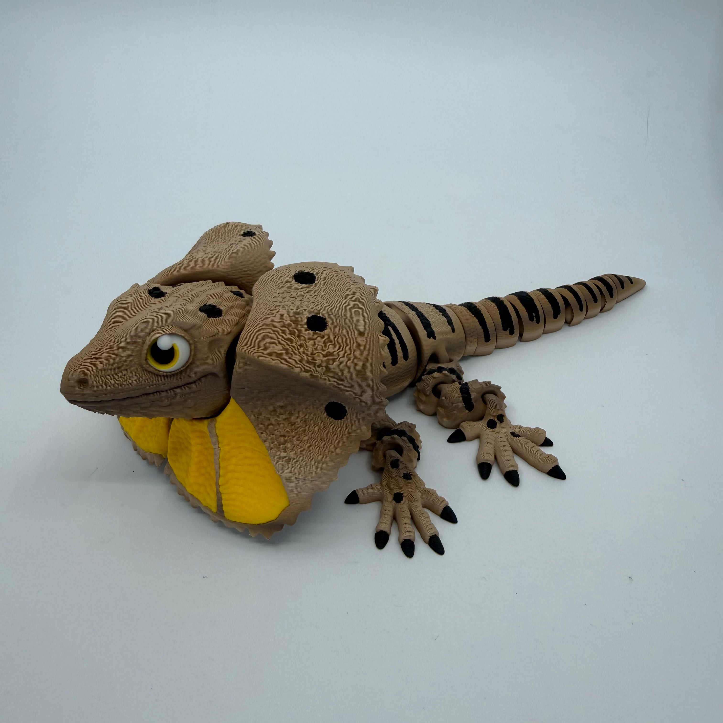 Frilled-Neck Lizard