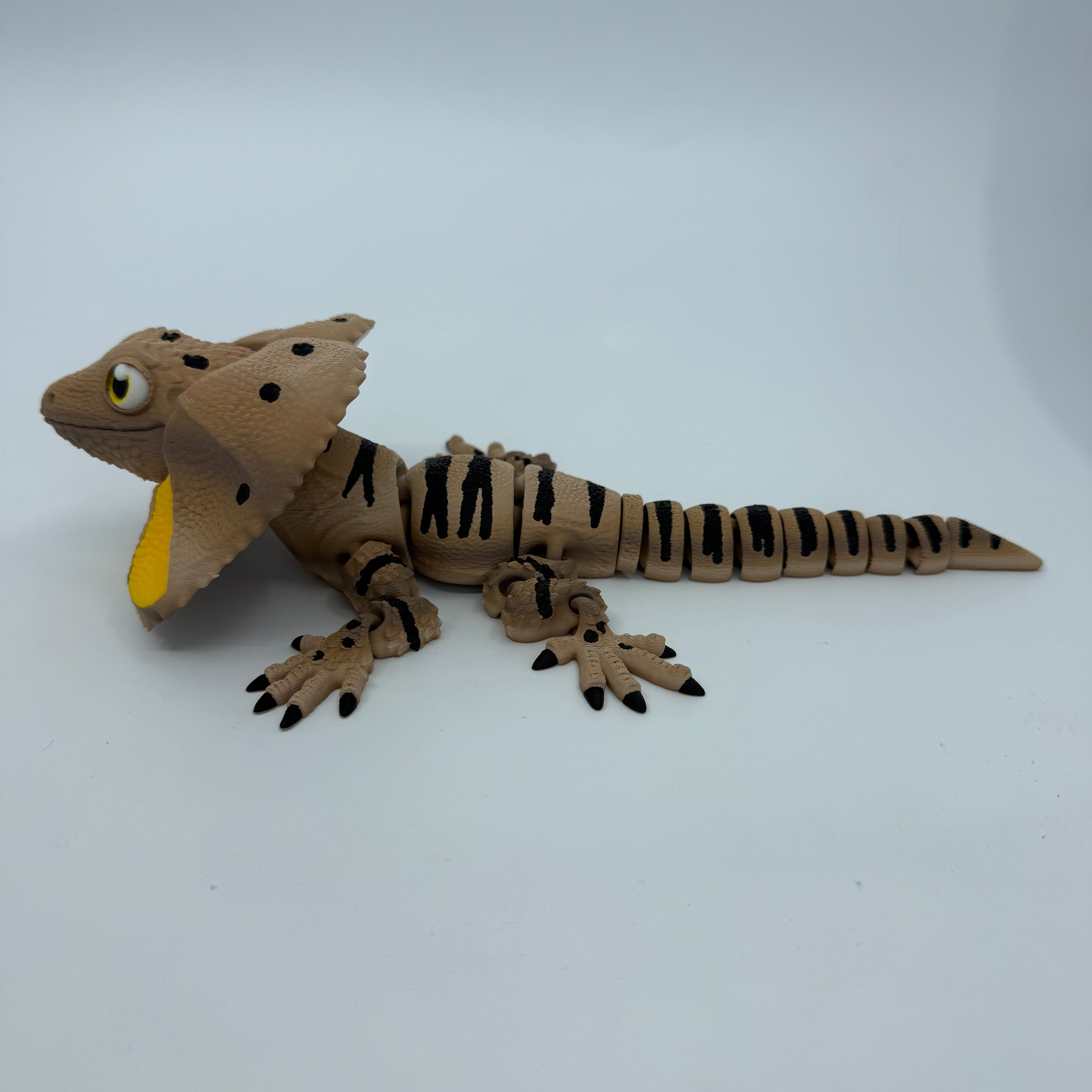 Frilled-Neck Lizard