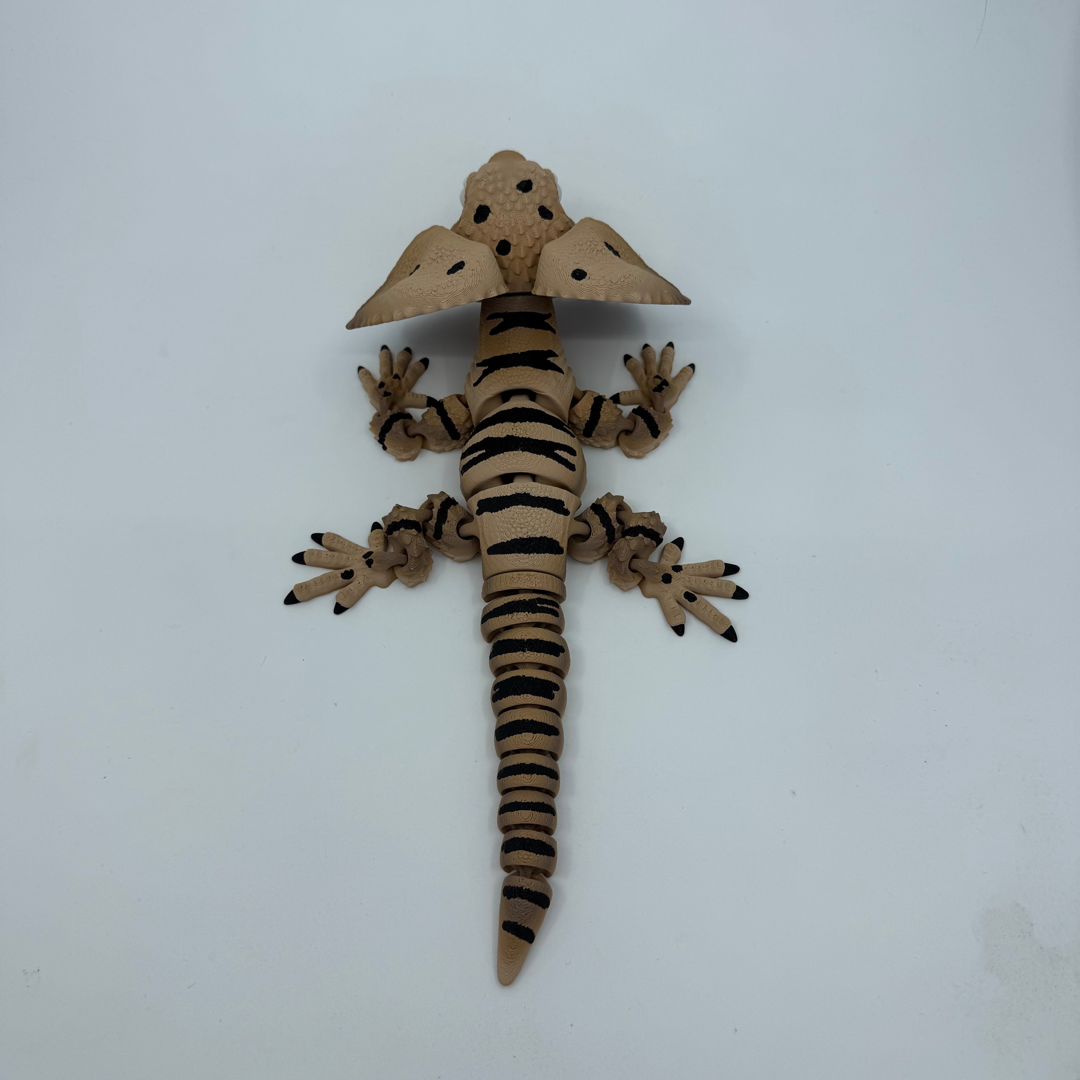Frilled-Neck Lizard