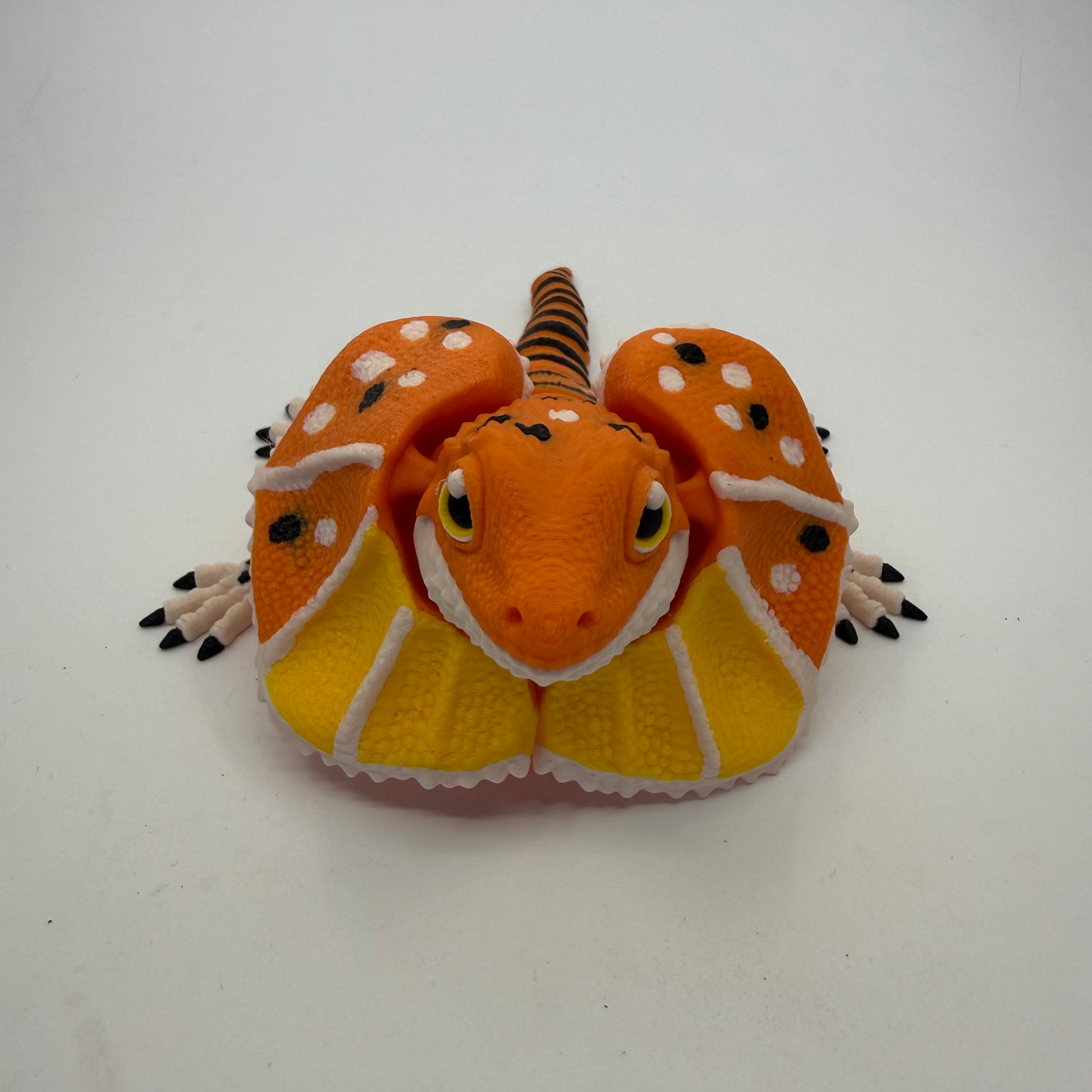 Frilled-Neck Lizard