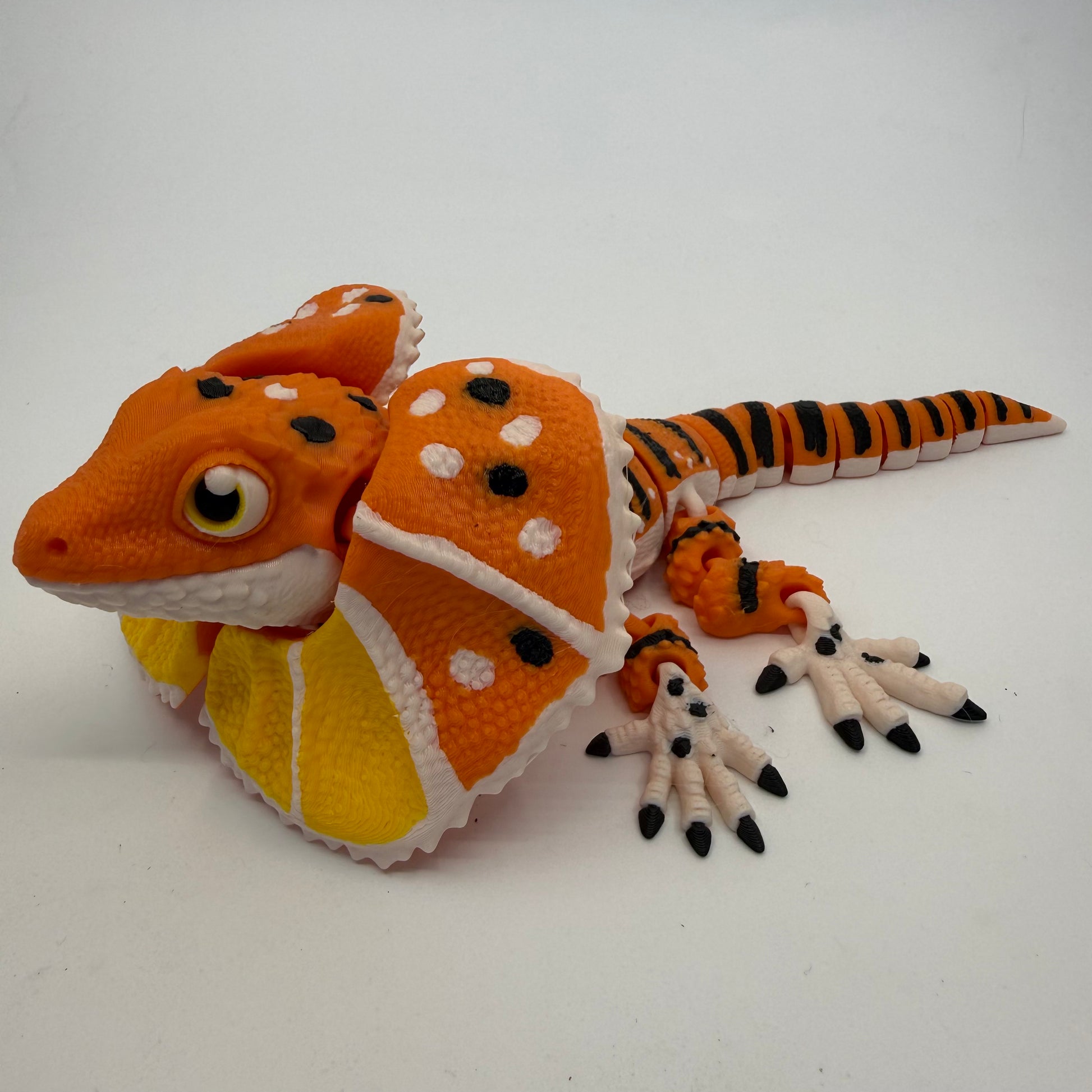 Frilled-Neck Lizard