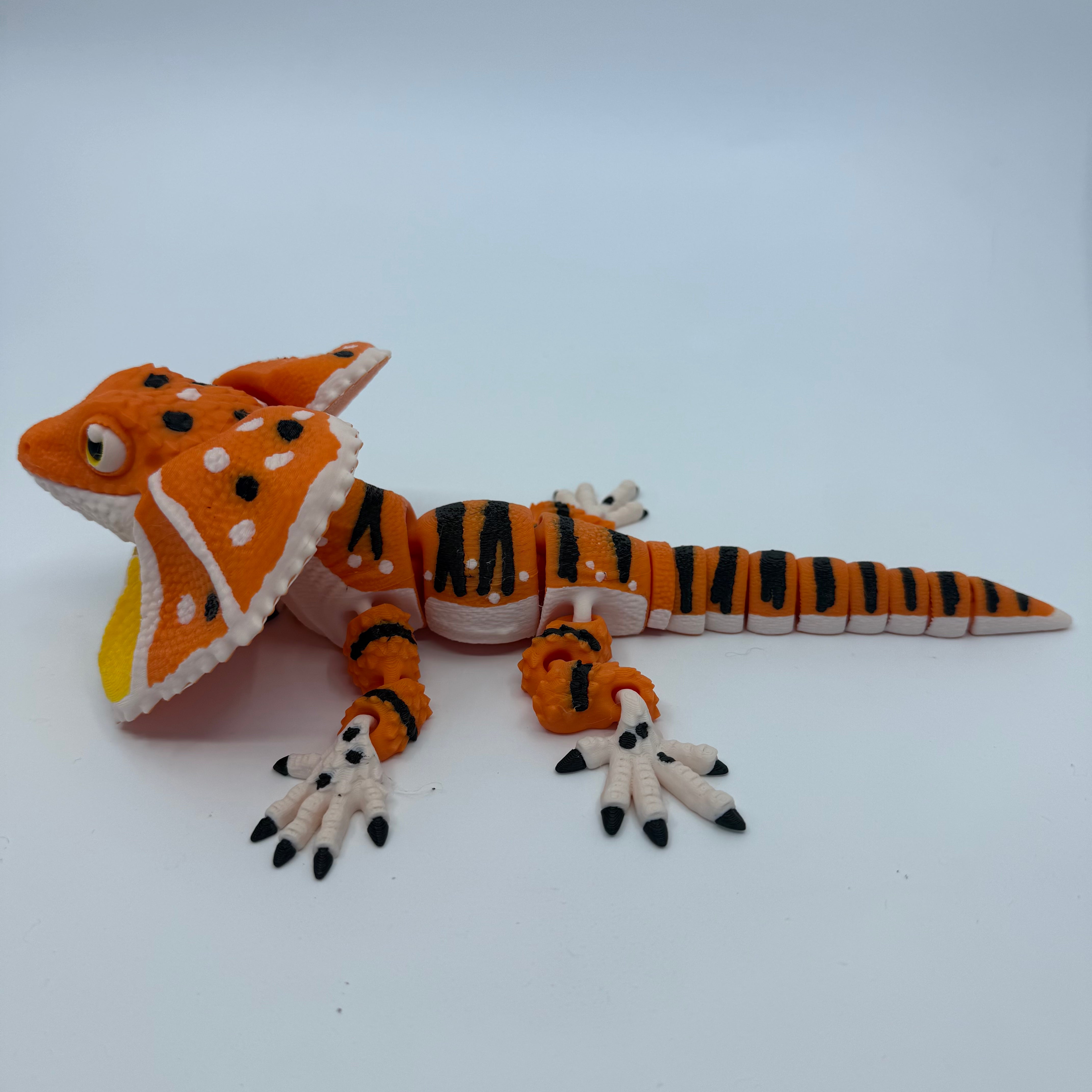 Frilled-Neck Lizard