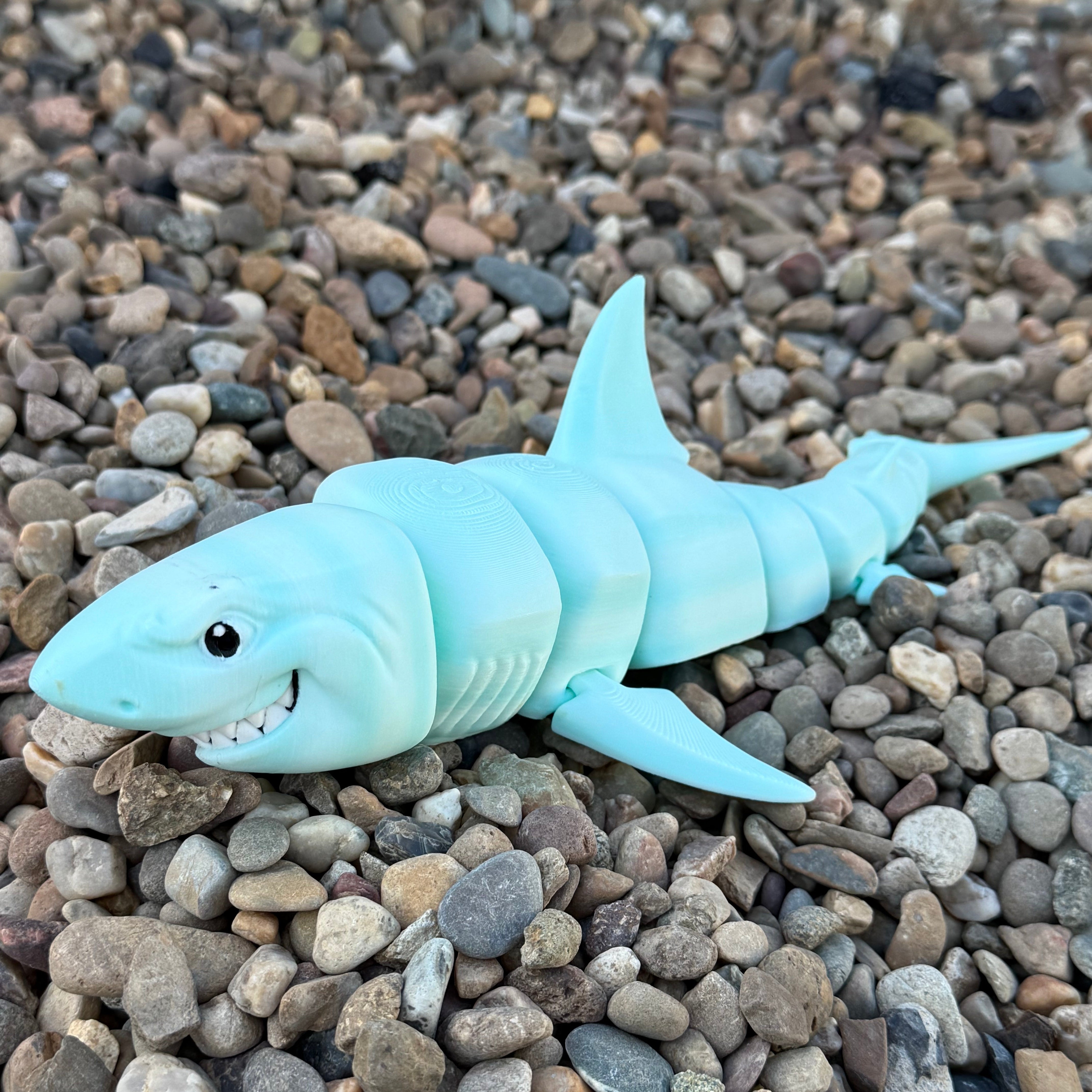 Great White Shark Blue Side